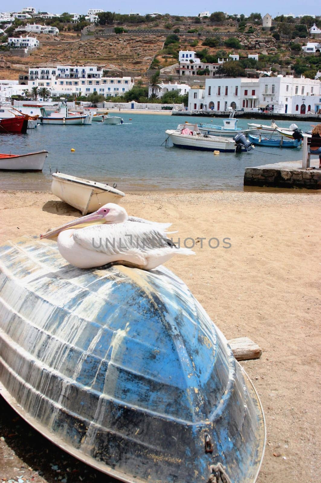 In the port of Mykonos