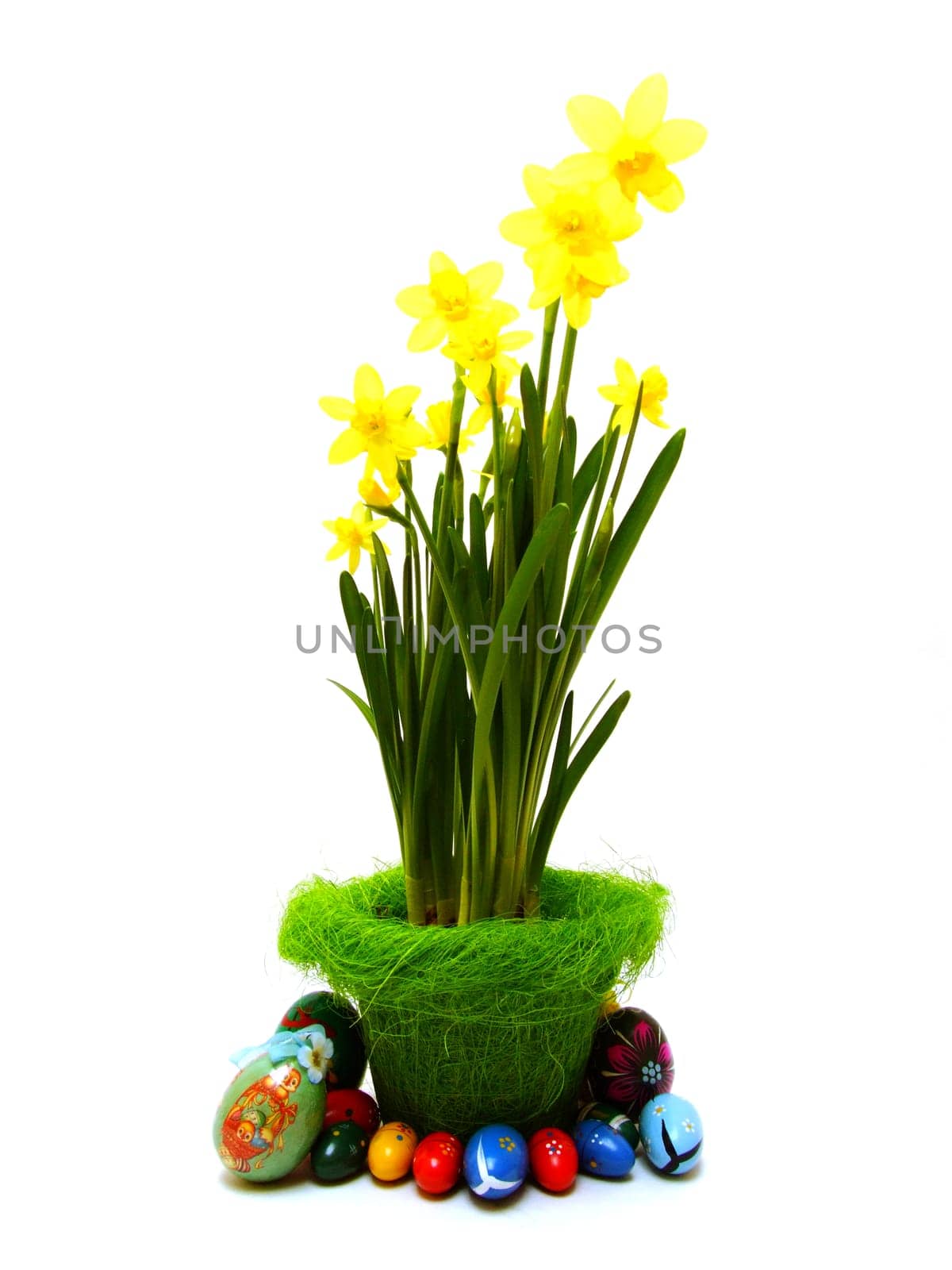daffodils