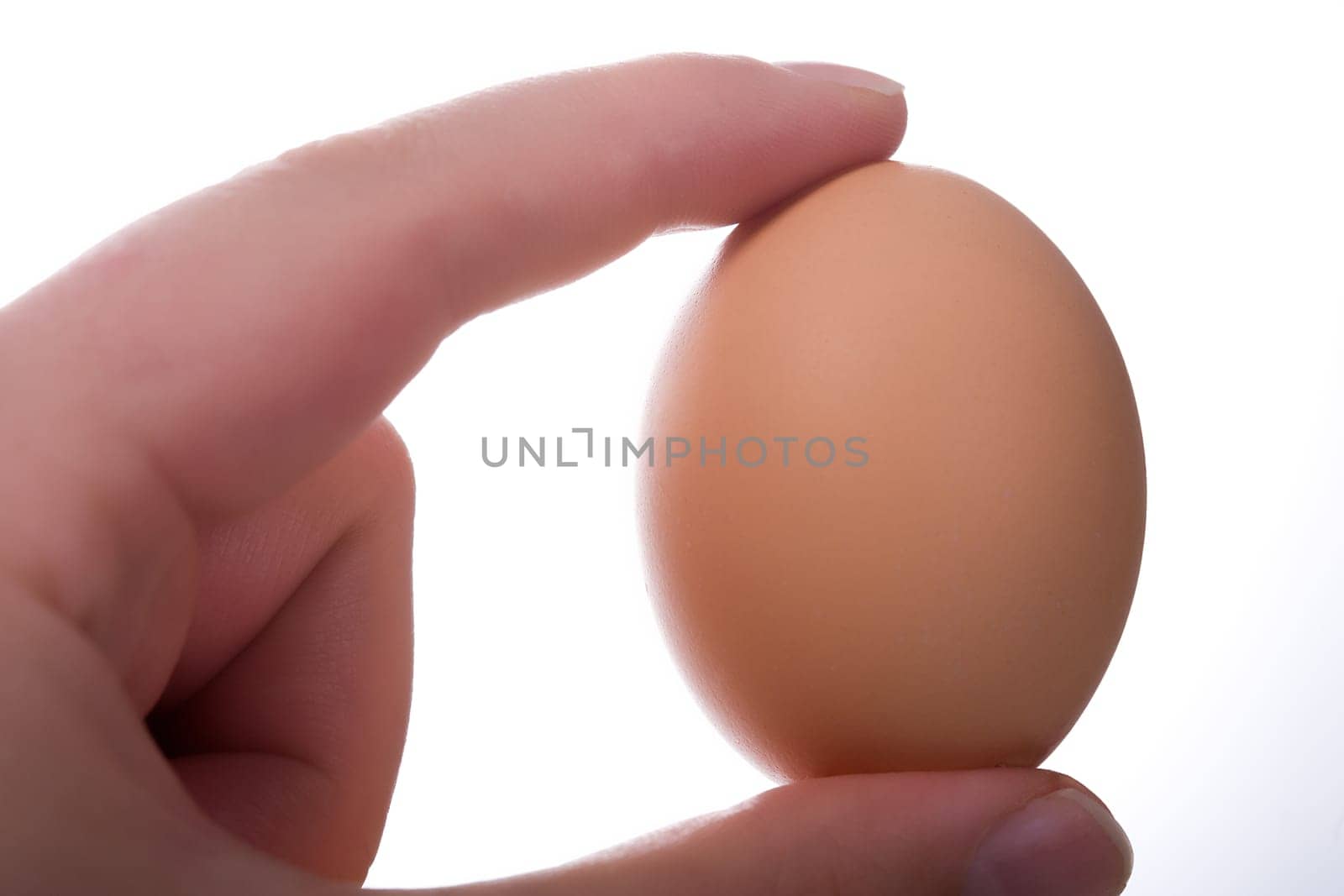 Just an egg
