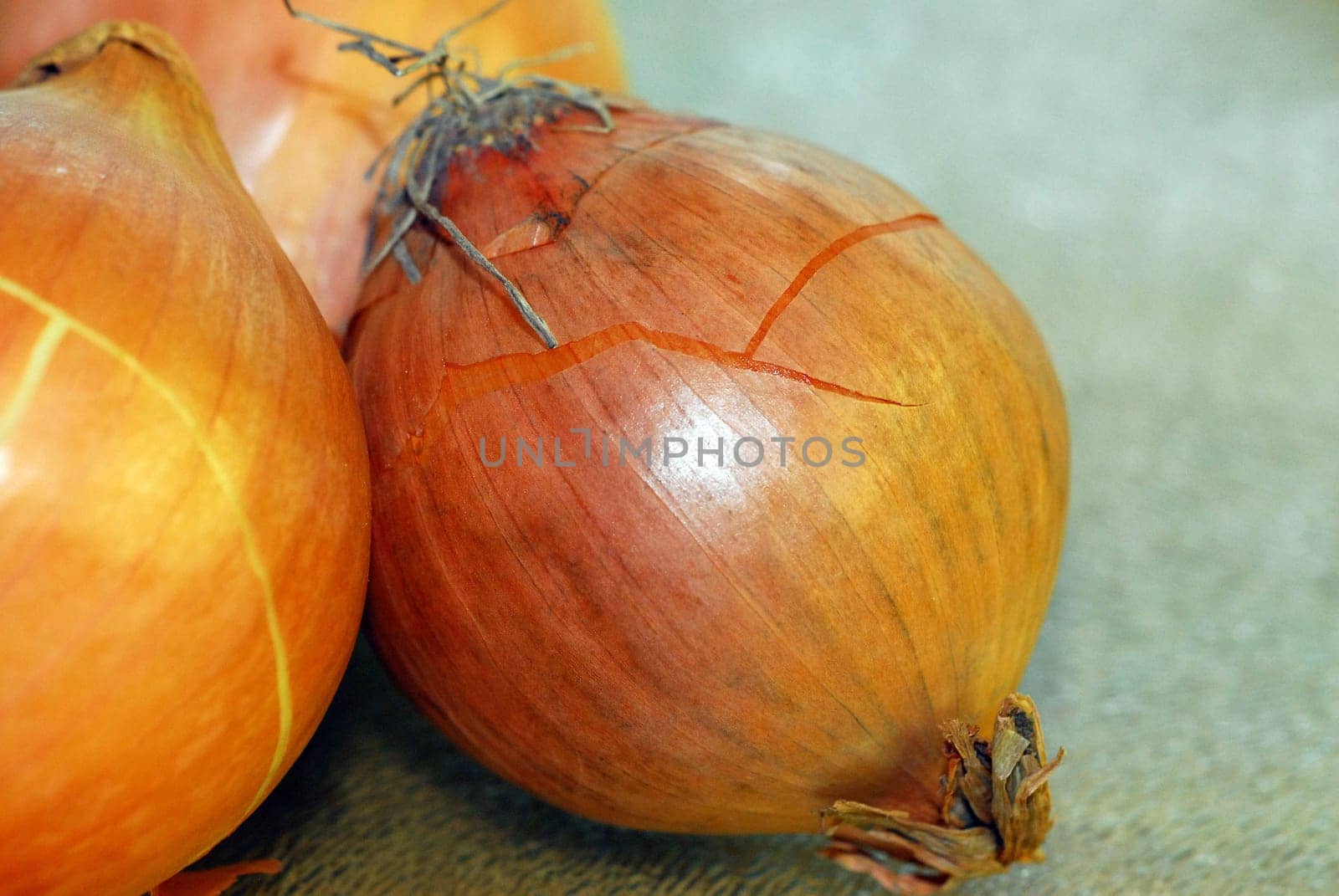 Onions