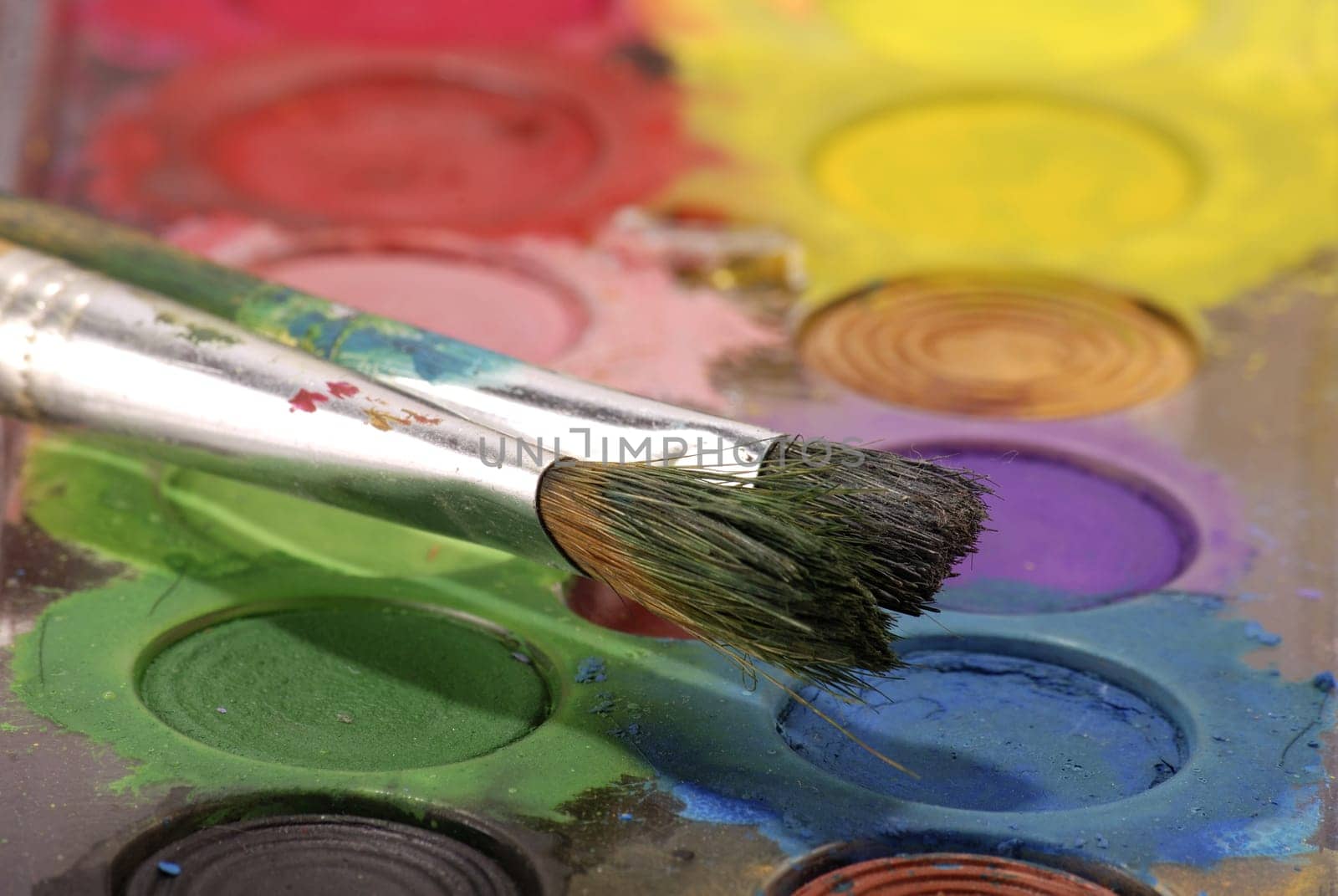 Color box