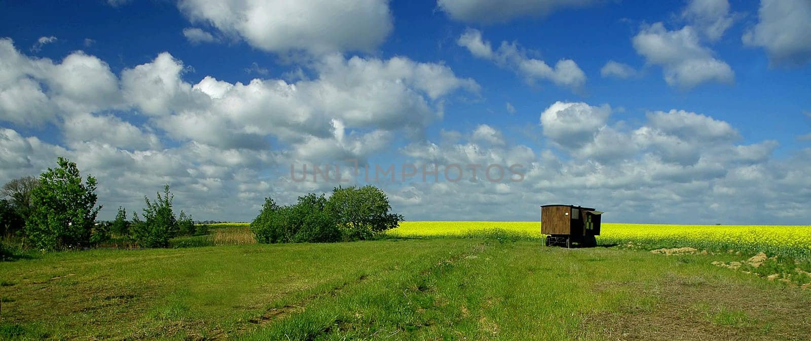 It was so warm today that I'm already thinking about summer.......!