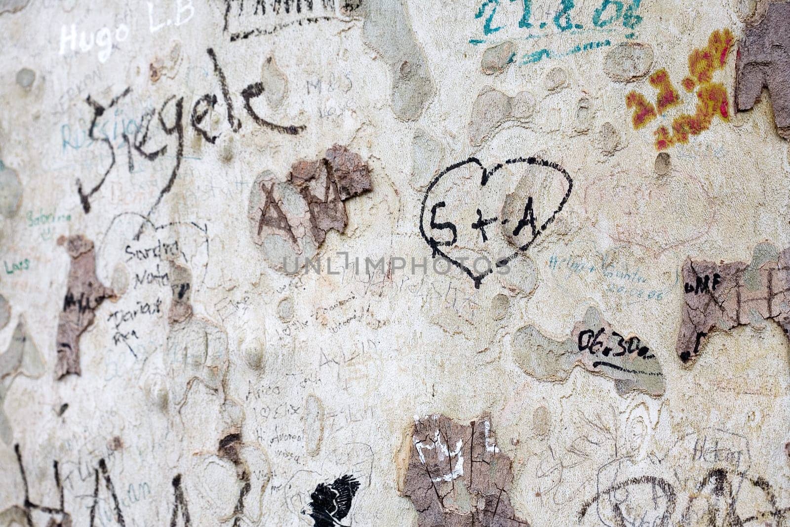 Messages on a tree