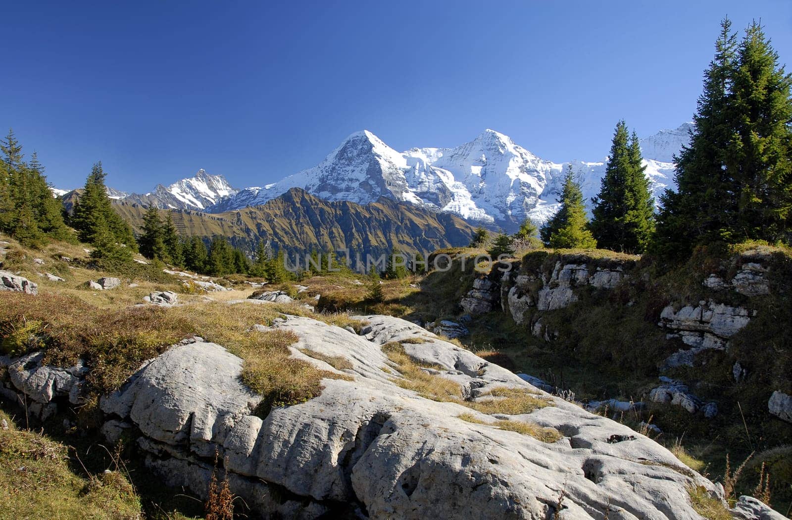 From the Lobhornhütte you probably have the most beautiful view of the Eiger,Mönch and,depending on your point of view,also of the Jungfrau (far right behind the fir trees).