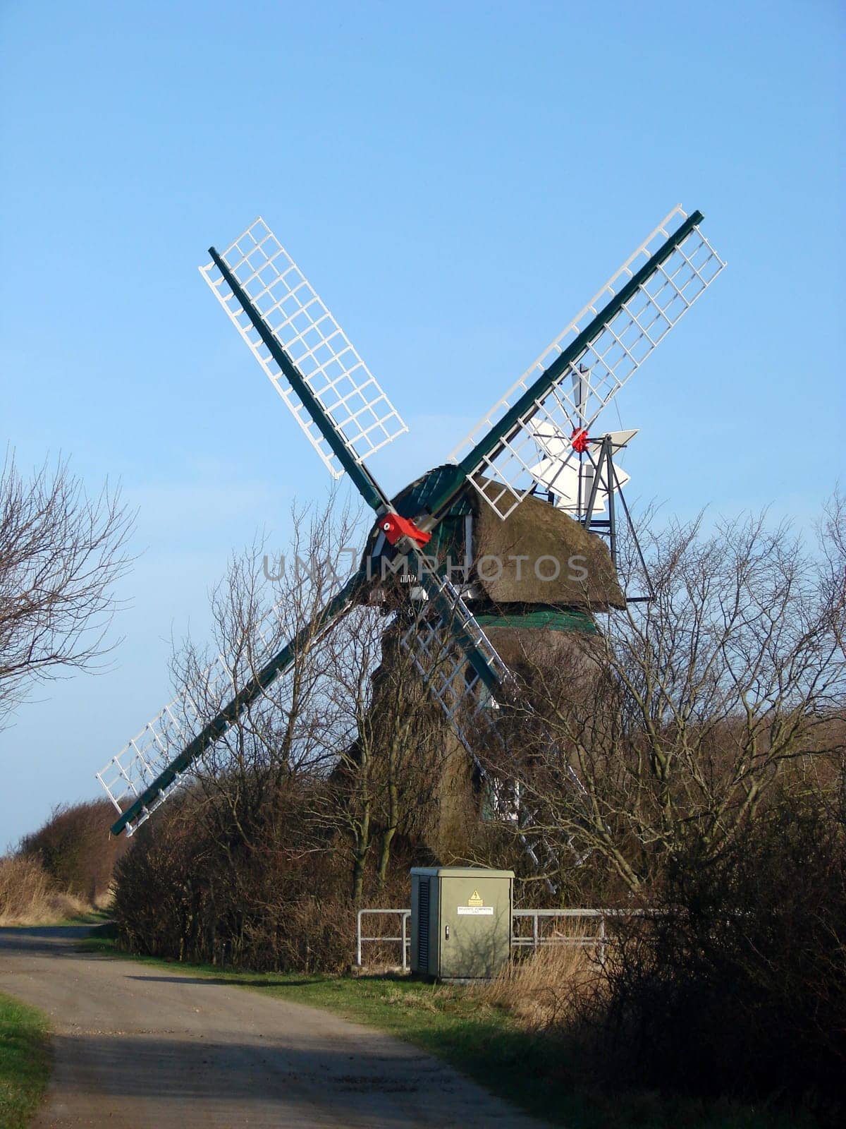 Charlotte Mill