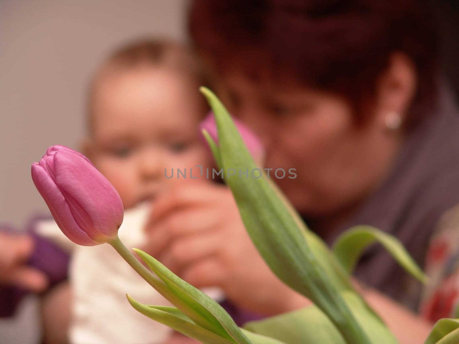 Grandma and grandson