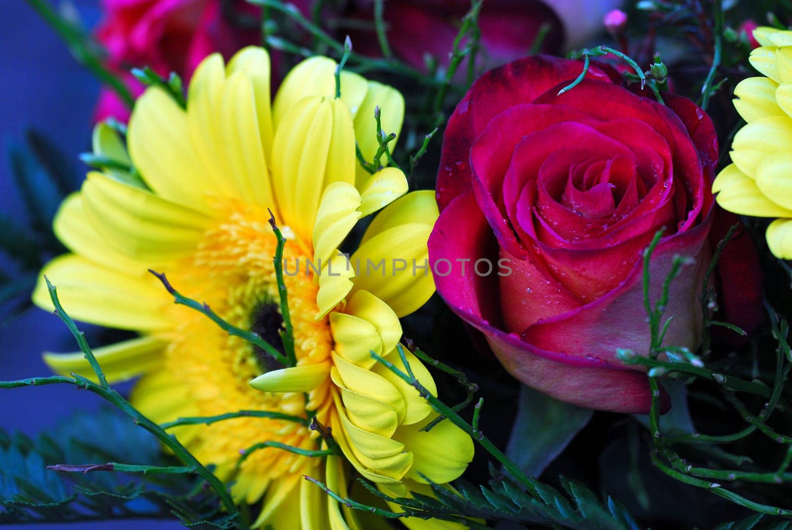 Spring greetings