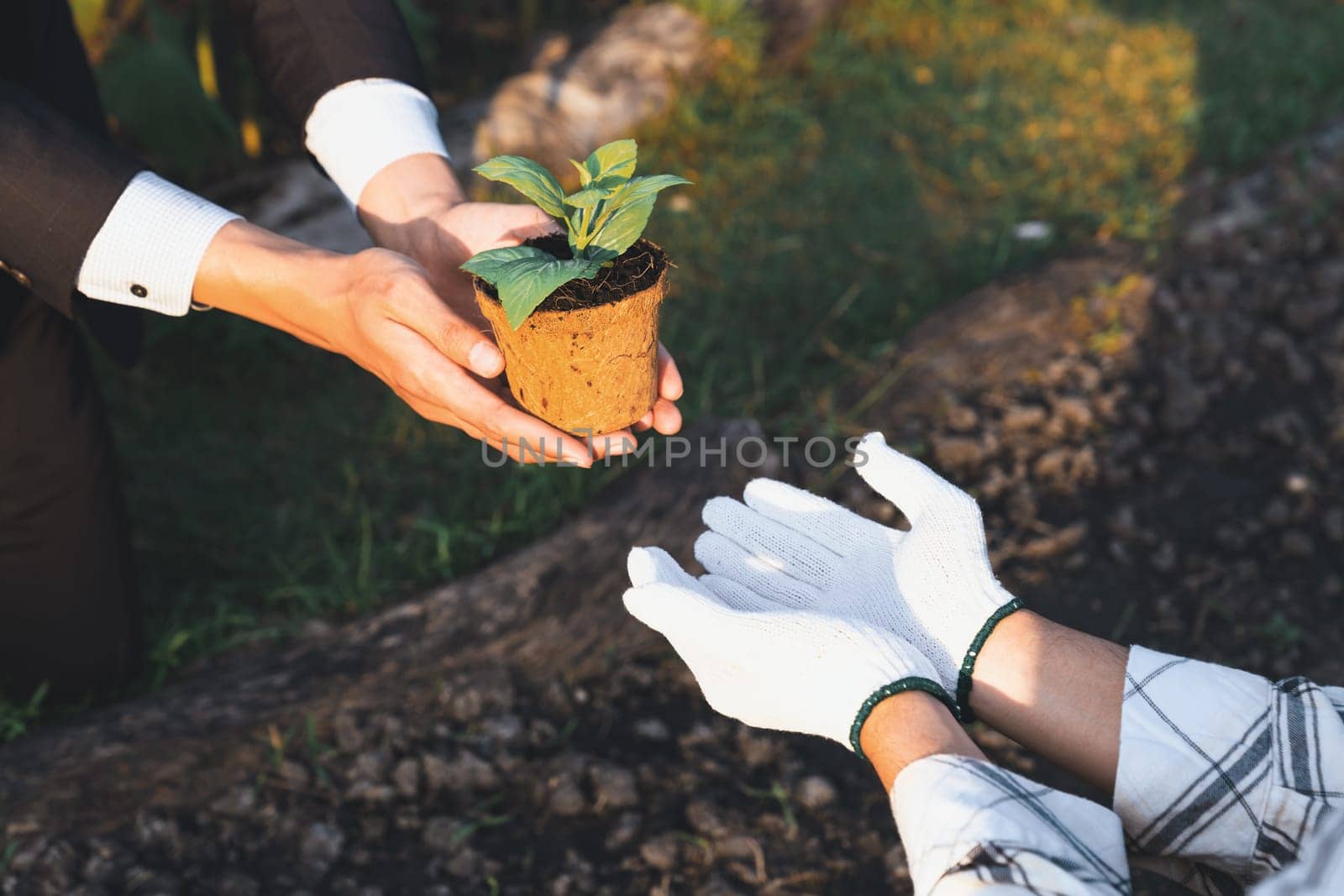 Eco-business company empower farmer with eco-friendly farming practice and clean agricultural technology. Cultivate sustainable future nurturing plants to grow and thrive. Gyre