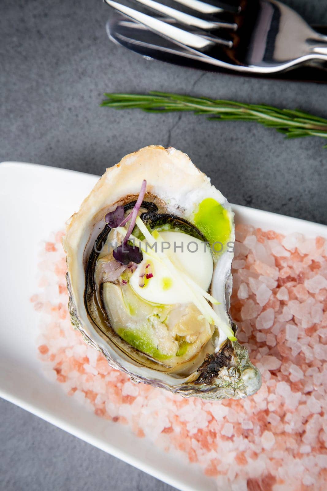 fresh oysters on red sea salt on a white plate by tewolf