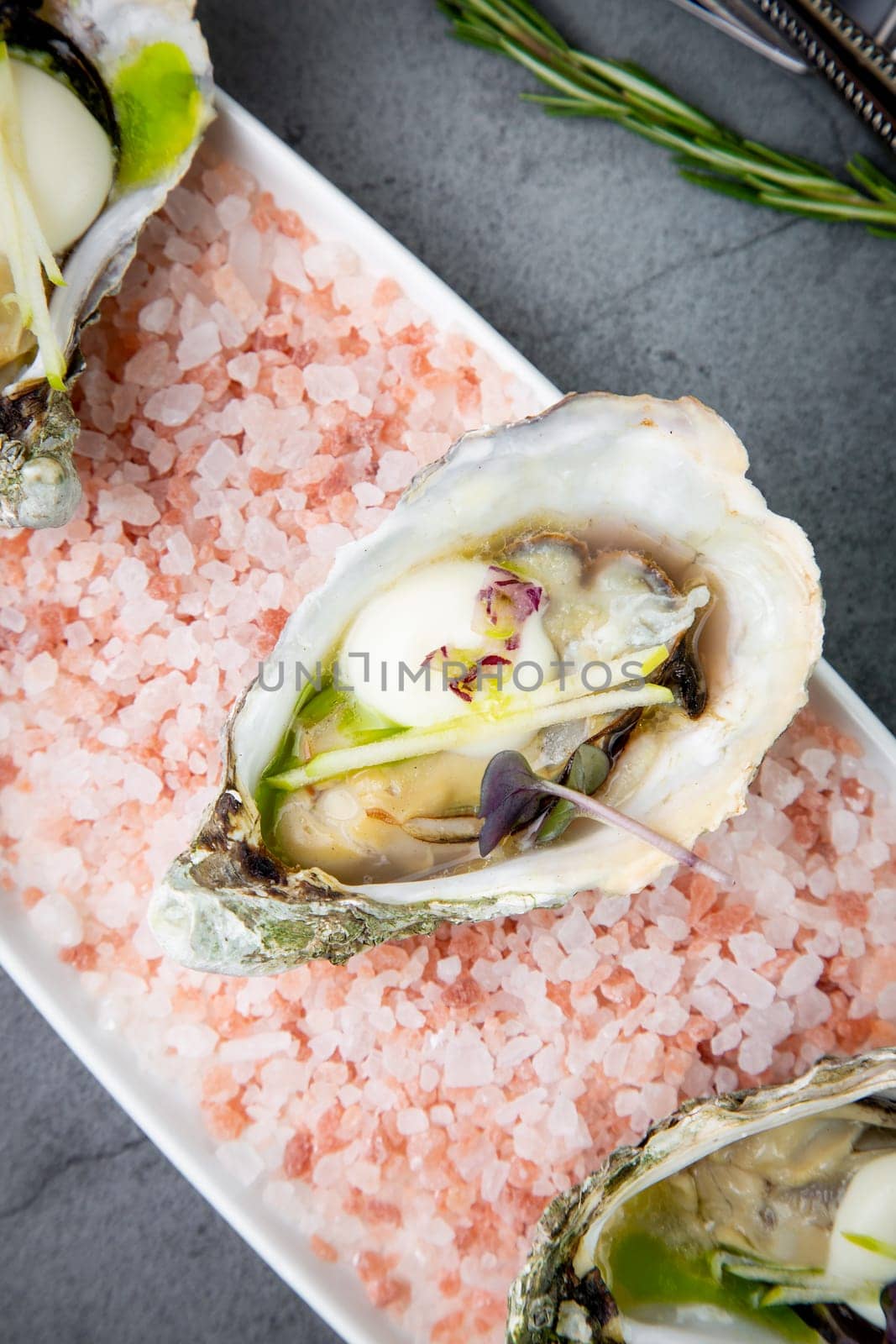 fresh oysters on red sea salt on a white plate top view by tewolf