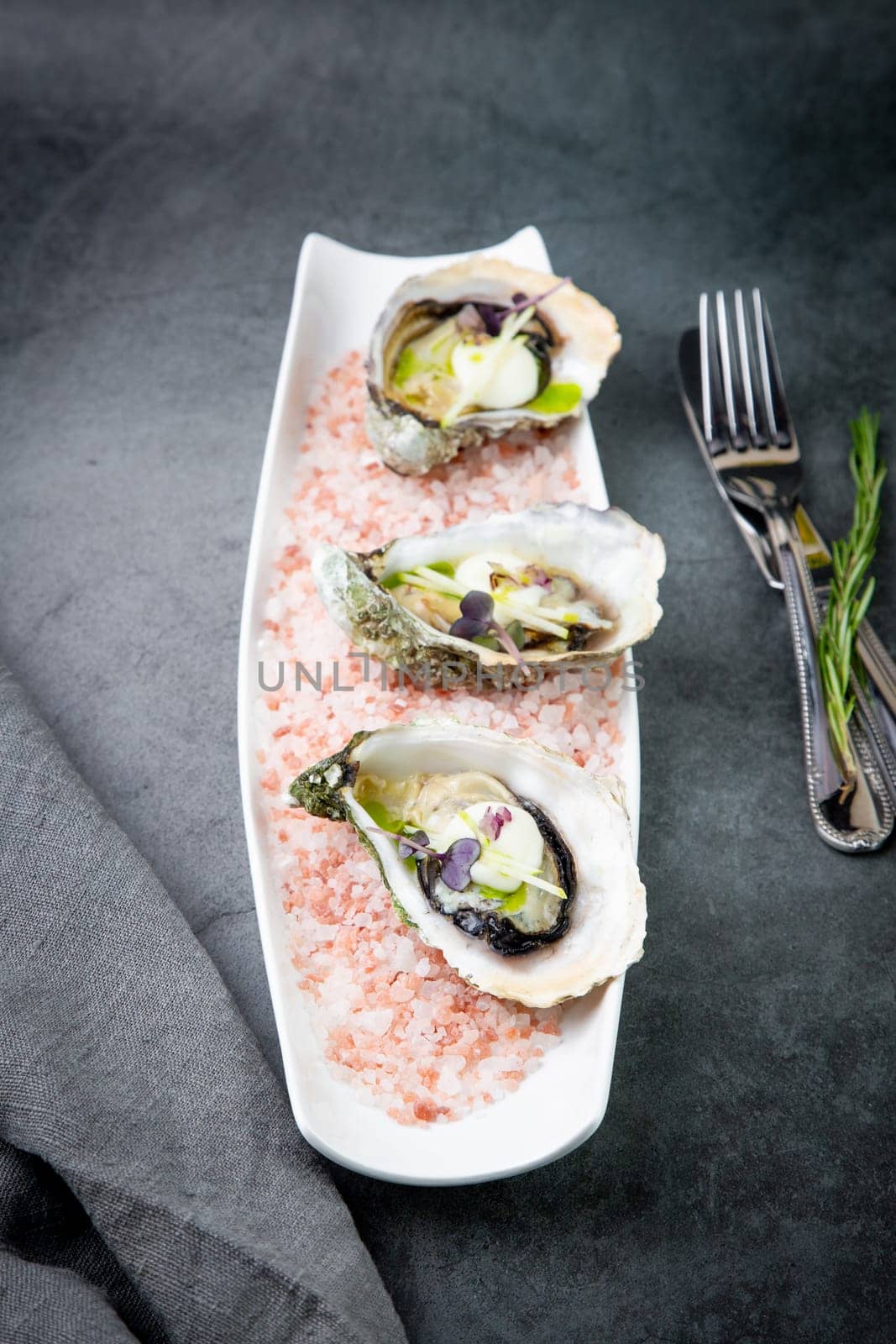 fresh oysters on red sea salt on a white plate by tewolf