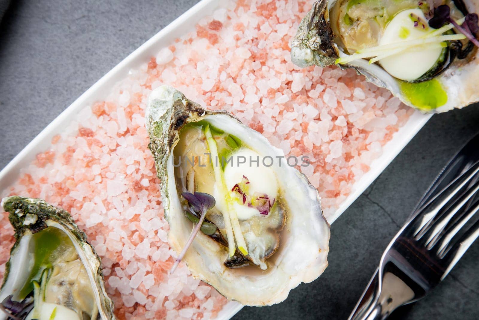 fresh oysters on red sea salt on a white plate top view by tewolf