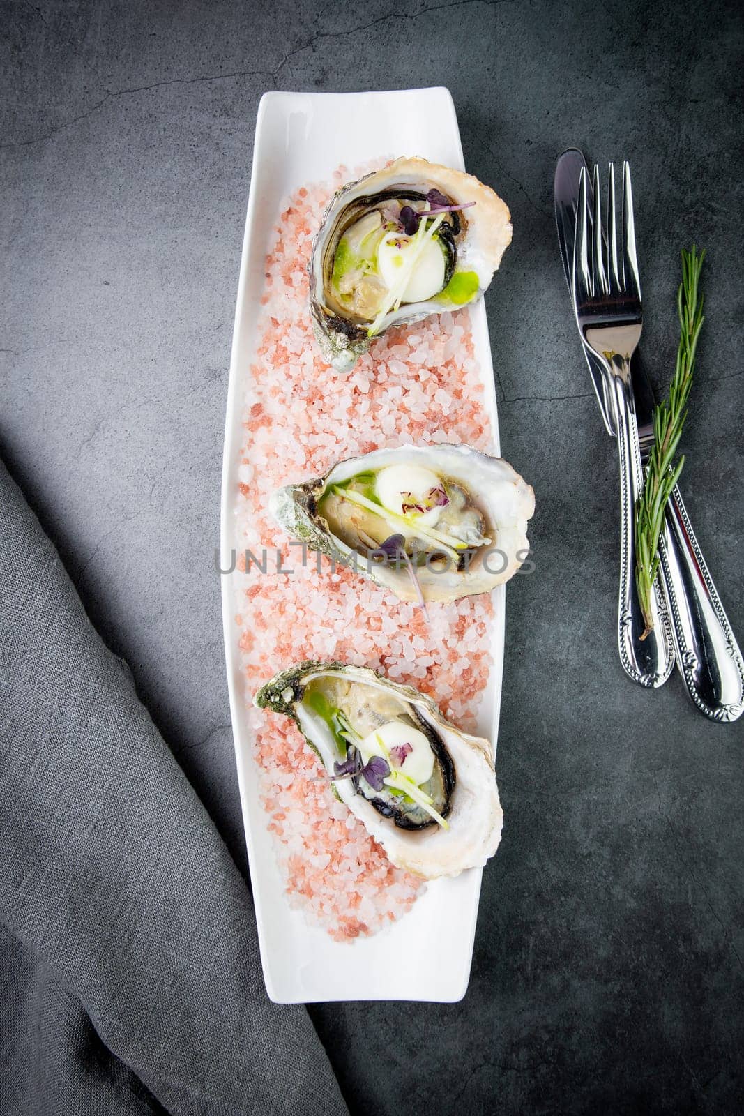 fresh oysters on red sea salt on a white plate top view by tewolf