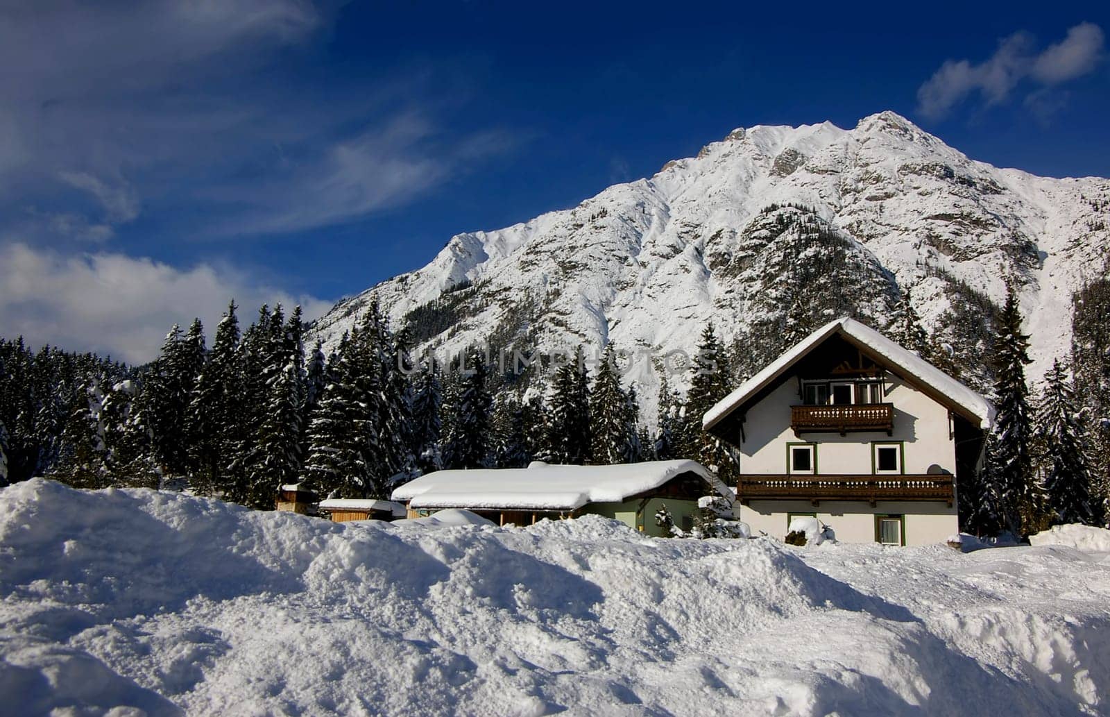 winter or winter snow or winter ice or winter deep snow