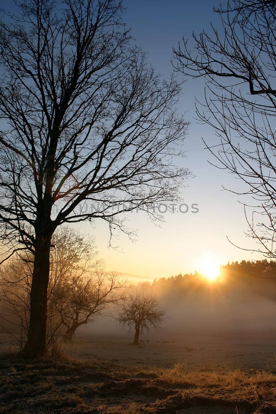 Good Morning