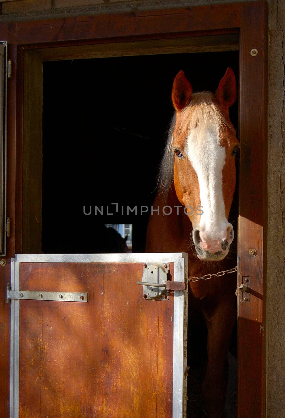 A friendly greeting to the visitor