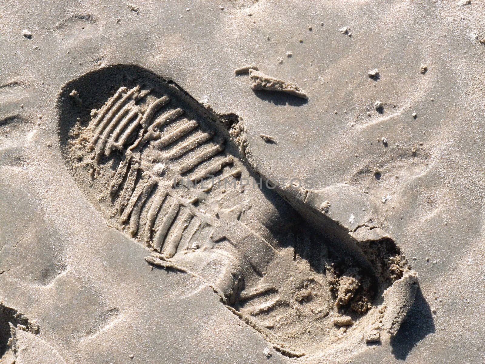 Tracks in the sand