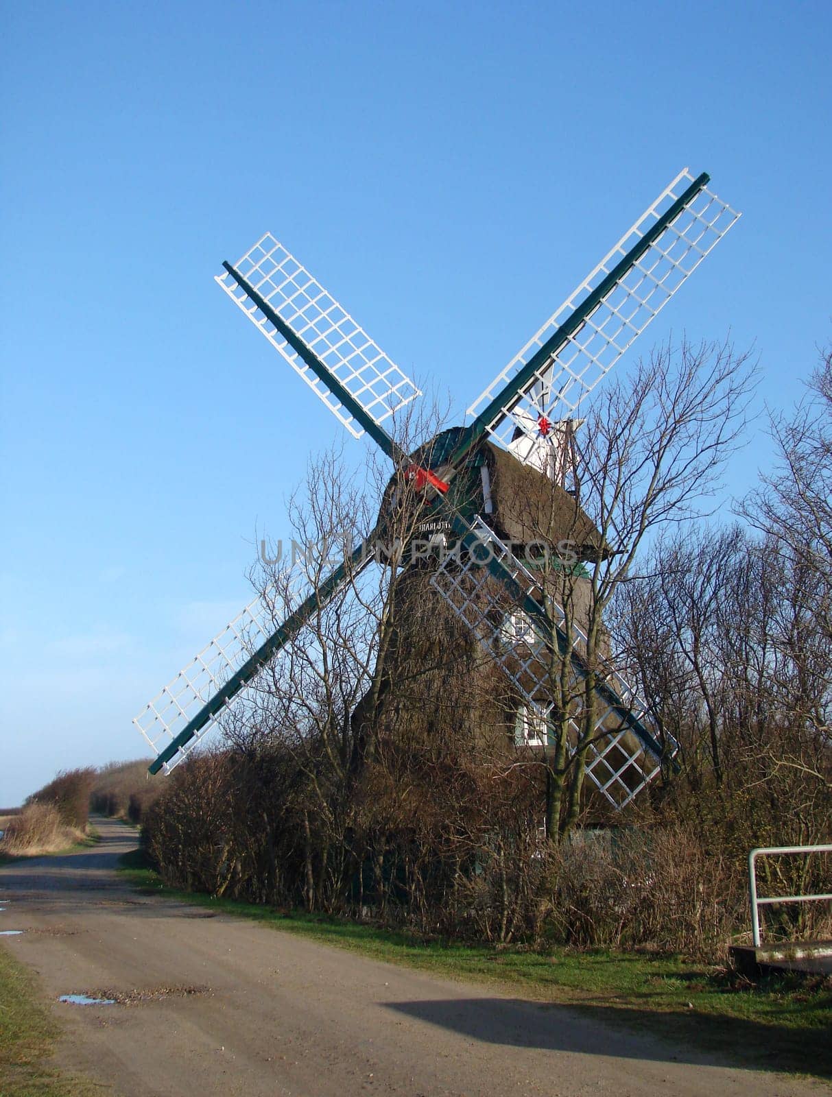 Charlotte Mill