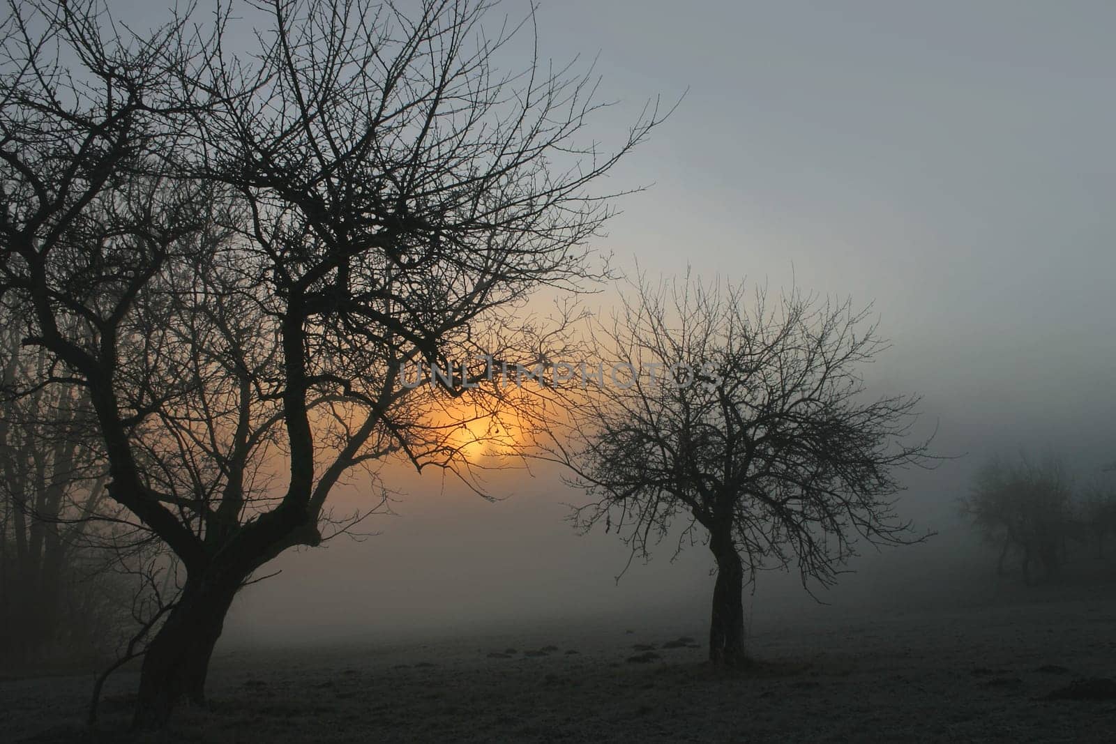 Thick fog