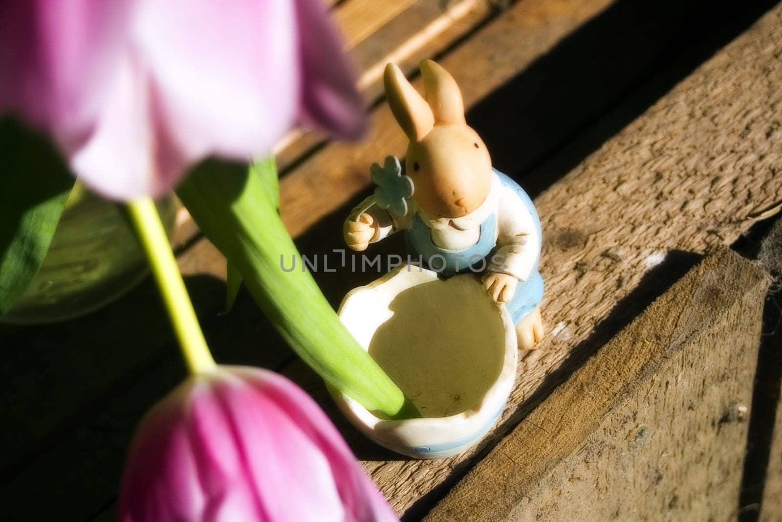 Easter bunny pictures