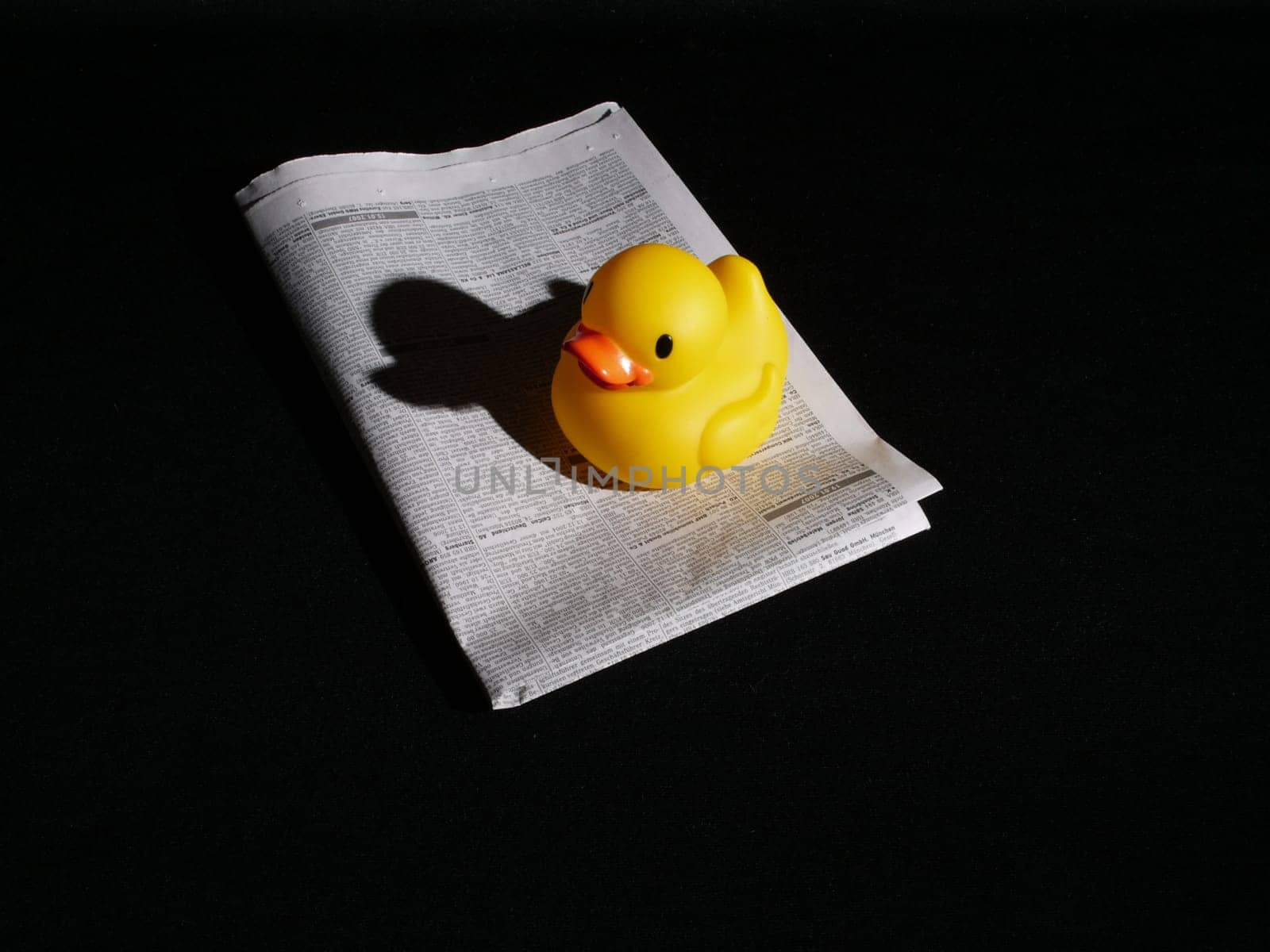 Canard