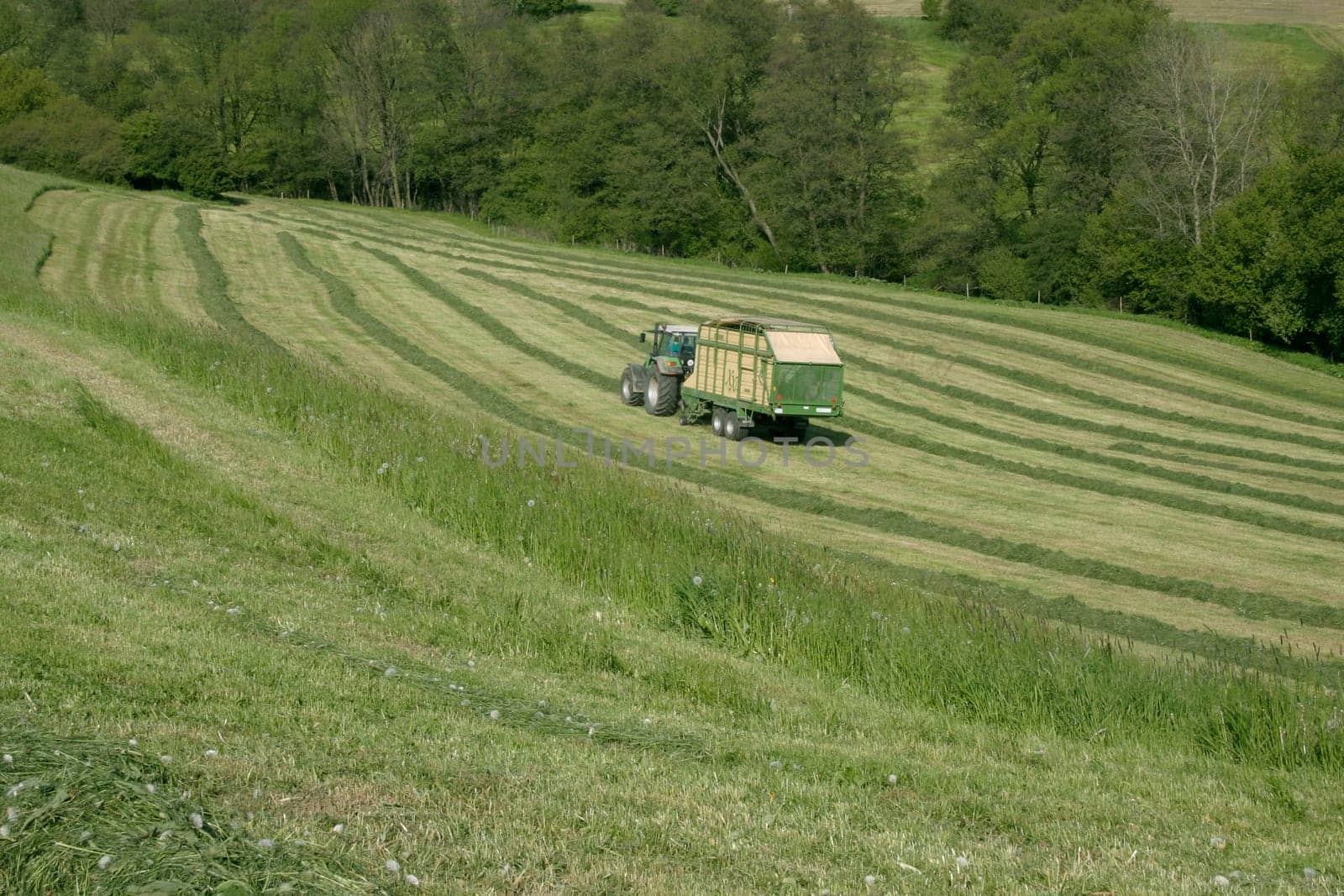 Tractor and meadow