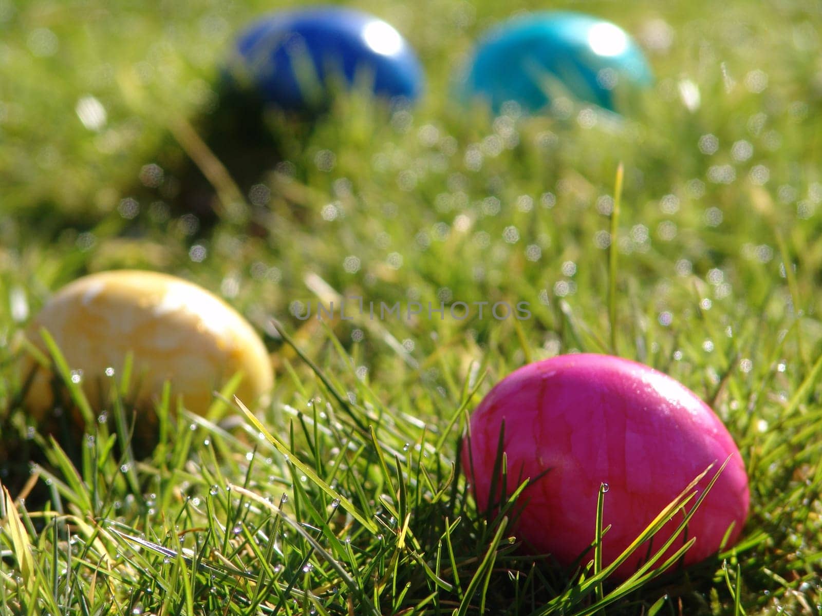 Easter egg