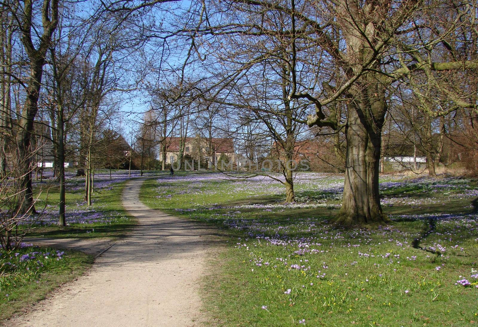 Spring in the Park