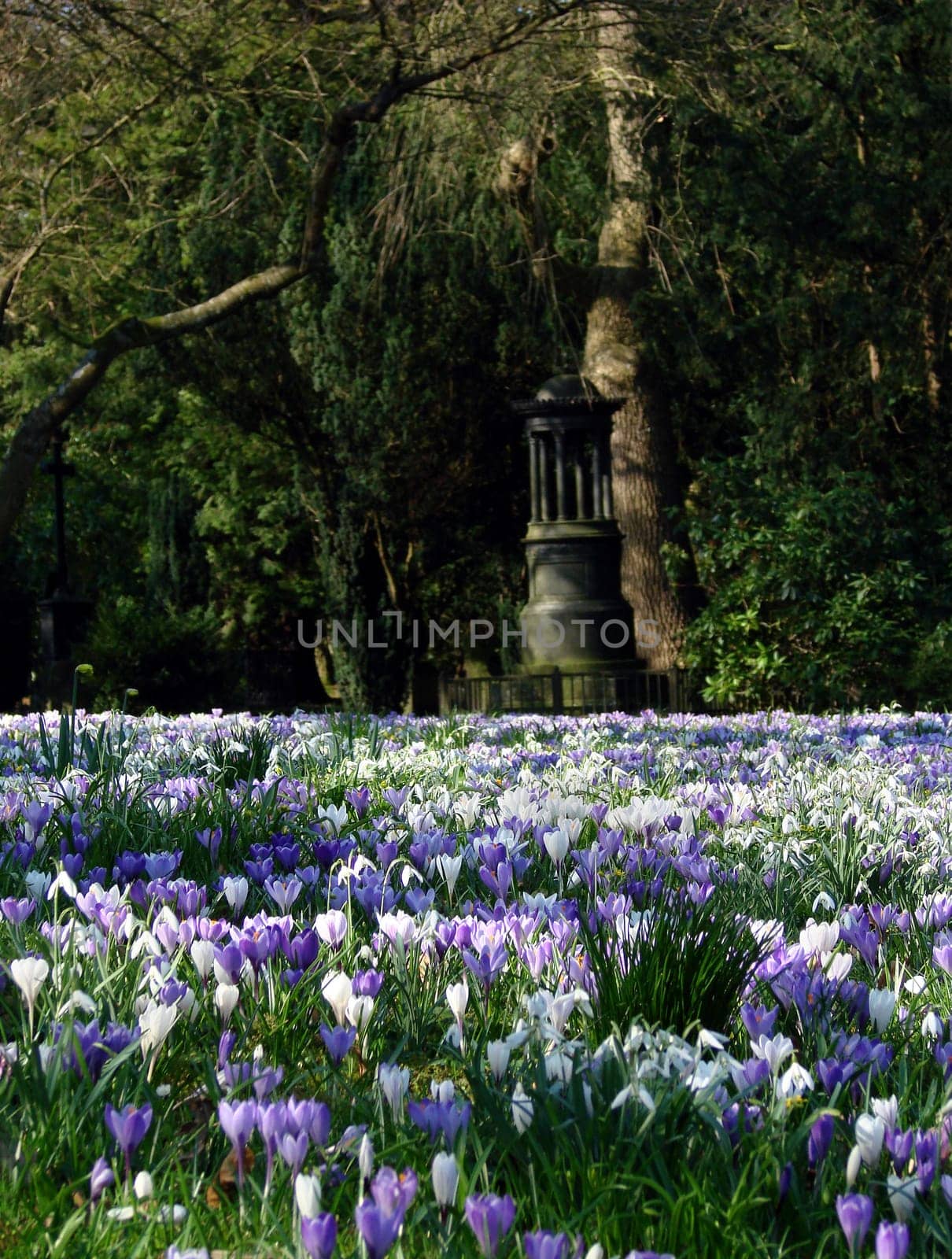 Spring in the cemetery