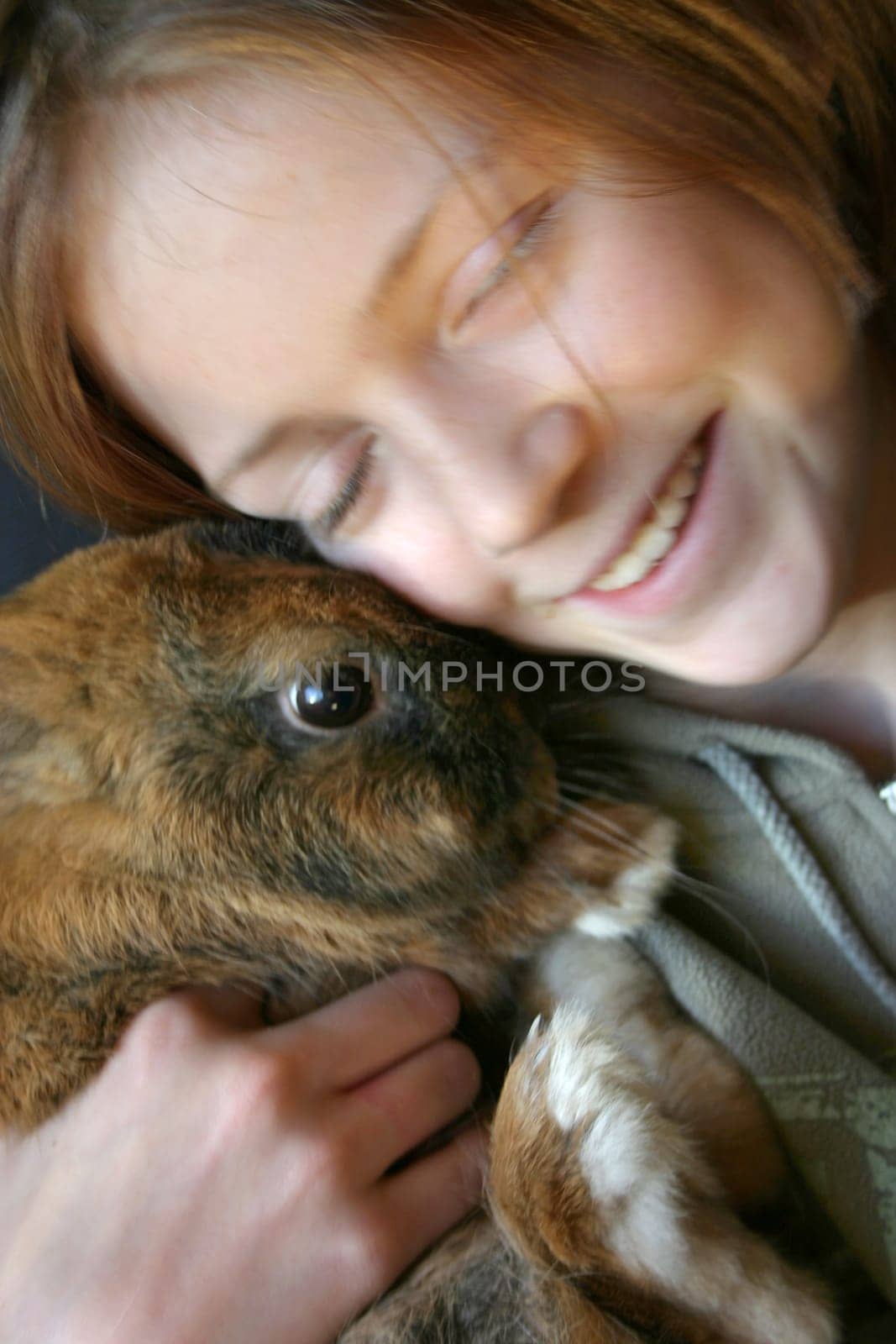 Humans and animals