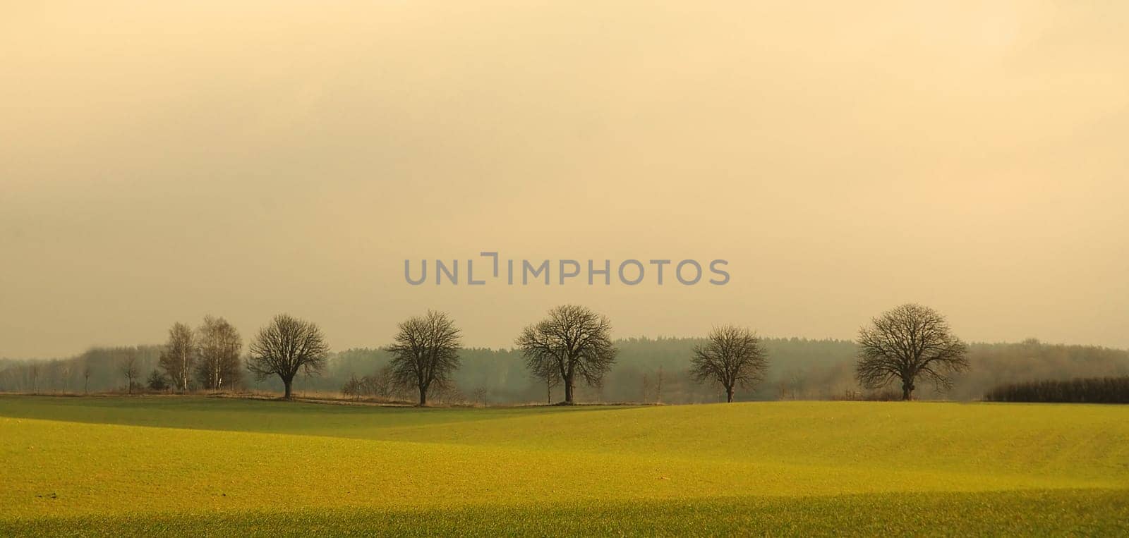 I think because of the small hills,this area is also called Mecklenburg Switzerland.......!:-)