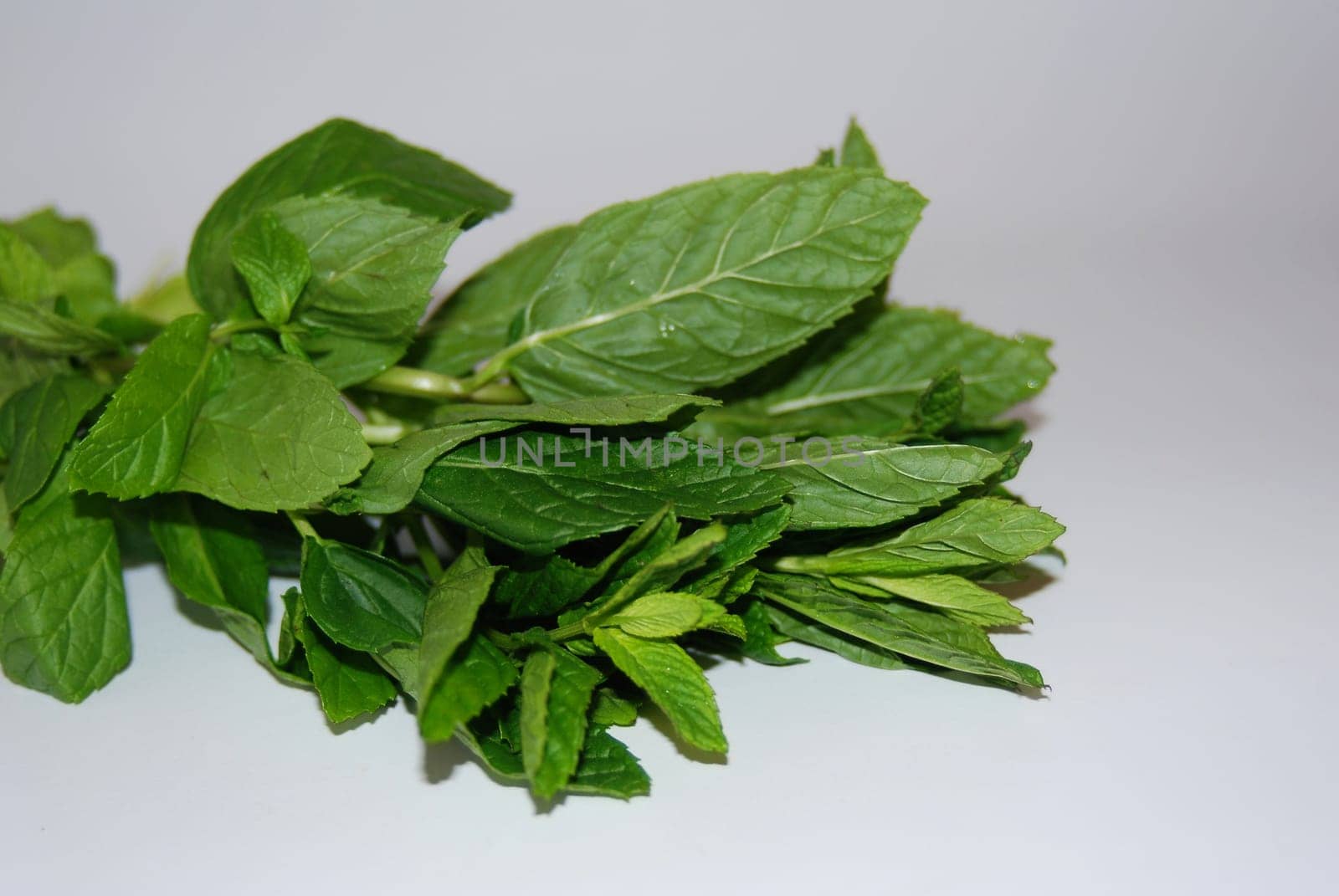 Peppermint