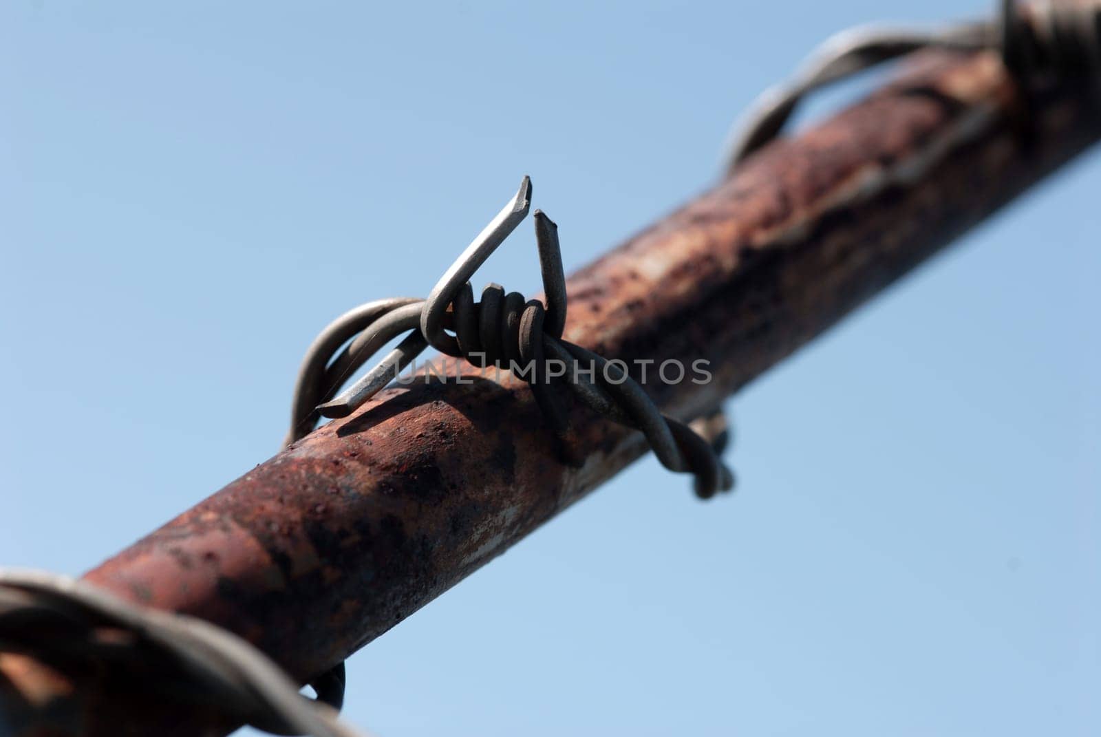 Barbed wire
