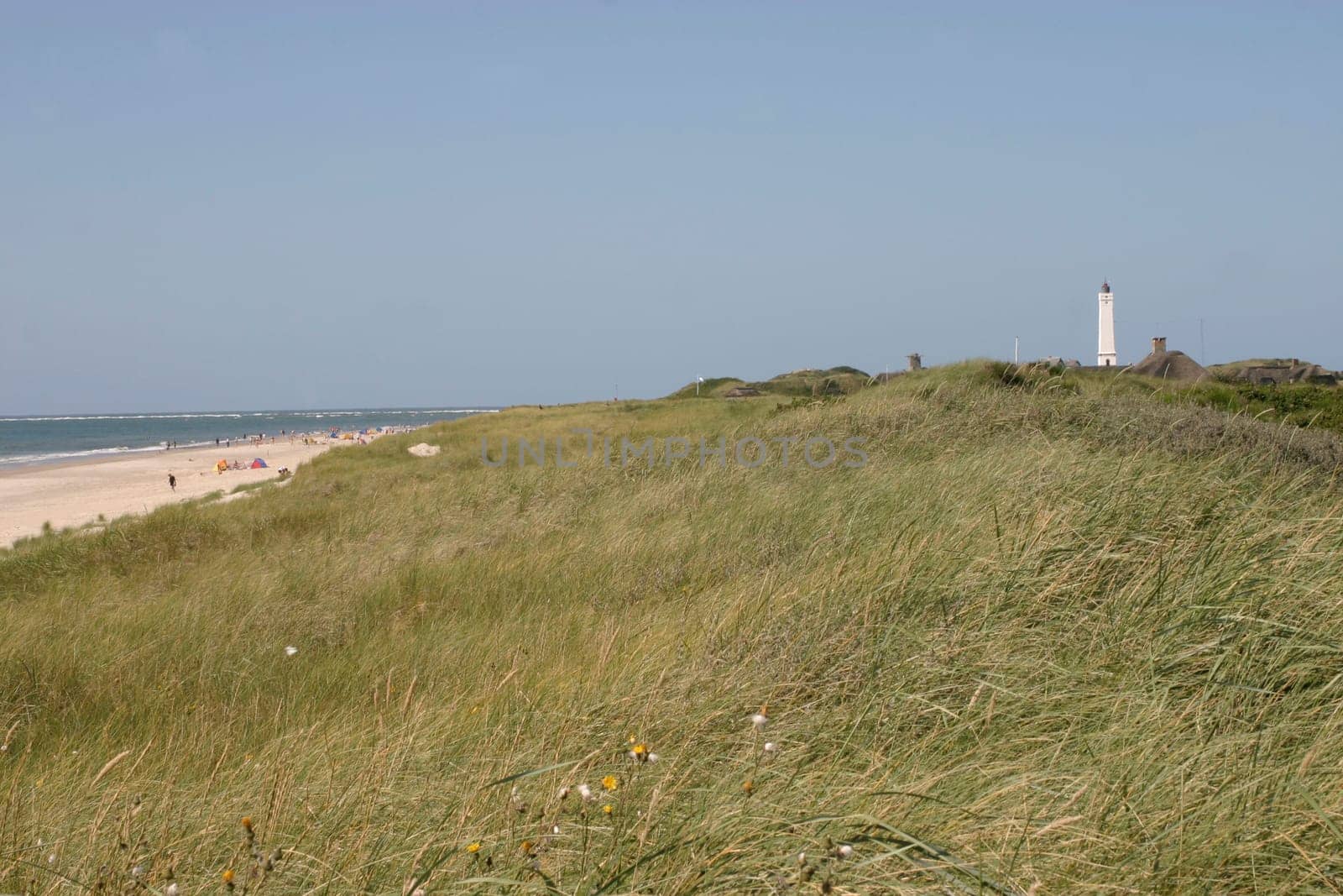 Dune landscape with lighthouse