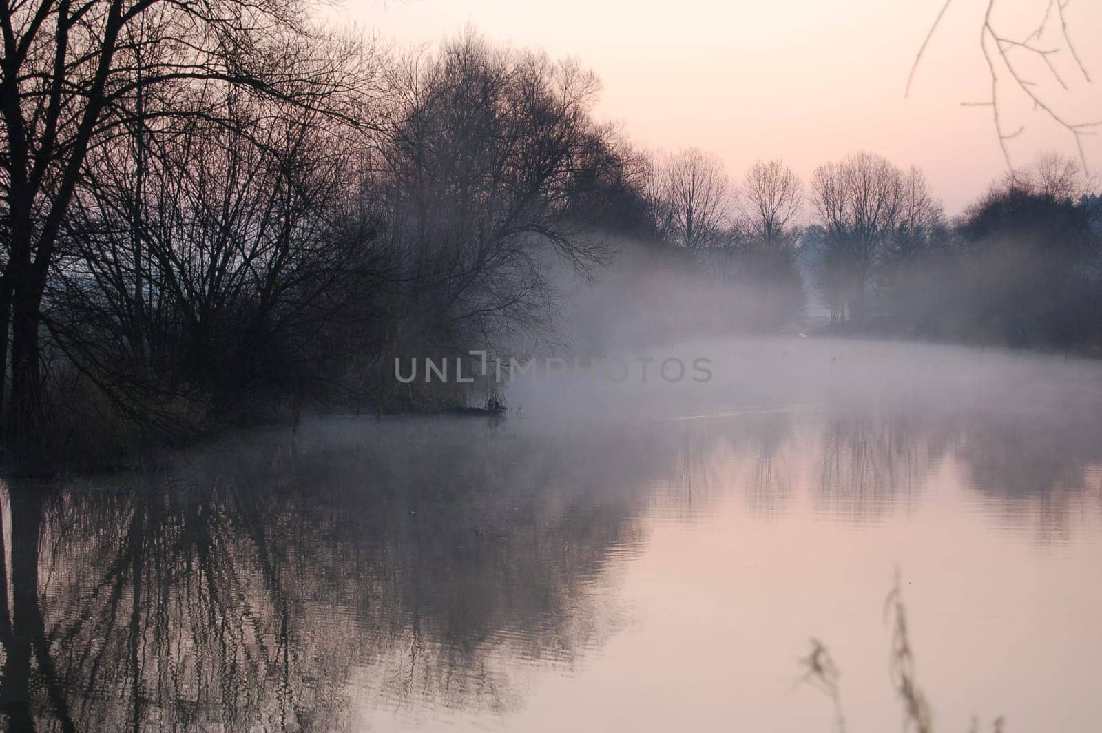 Dawn at the pond