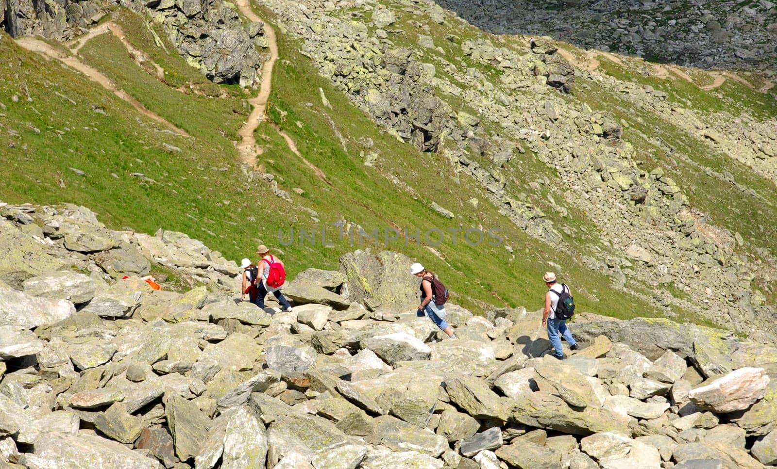 Mountain hike in the Alps
