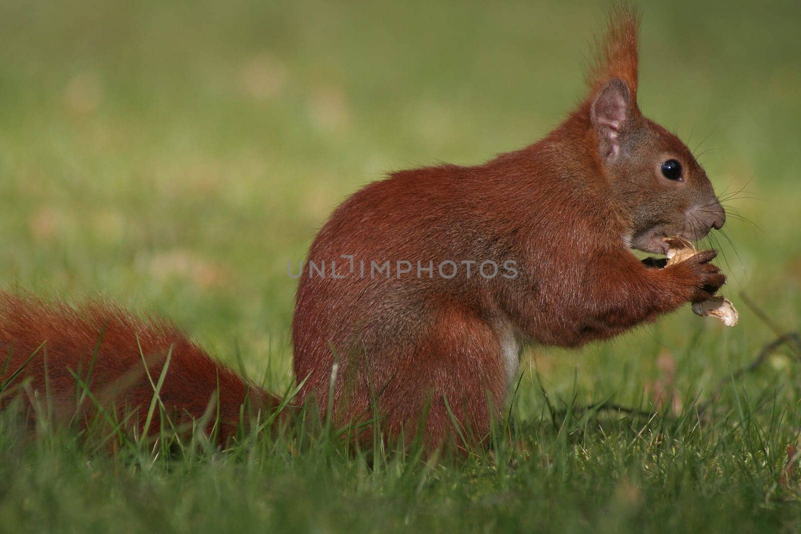 Appetite