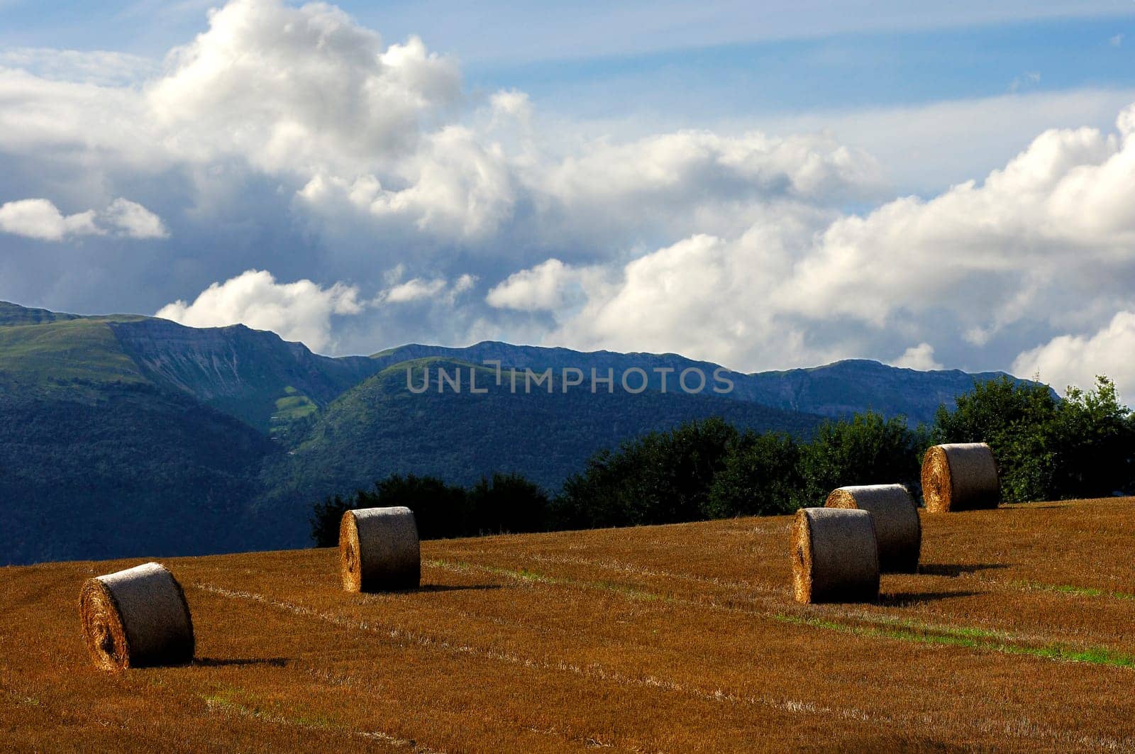 Autumn day