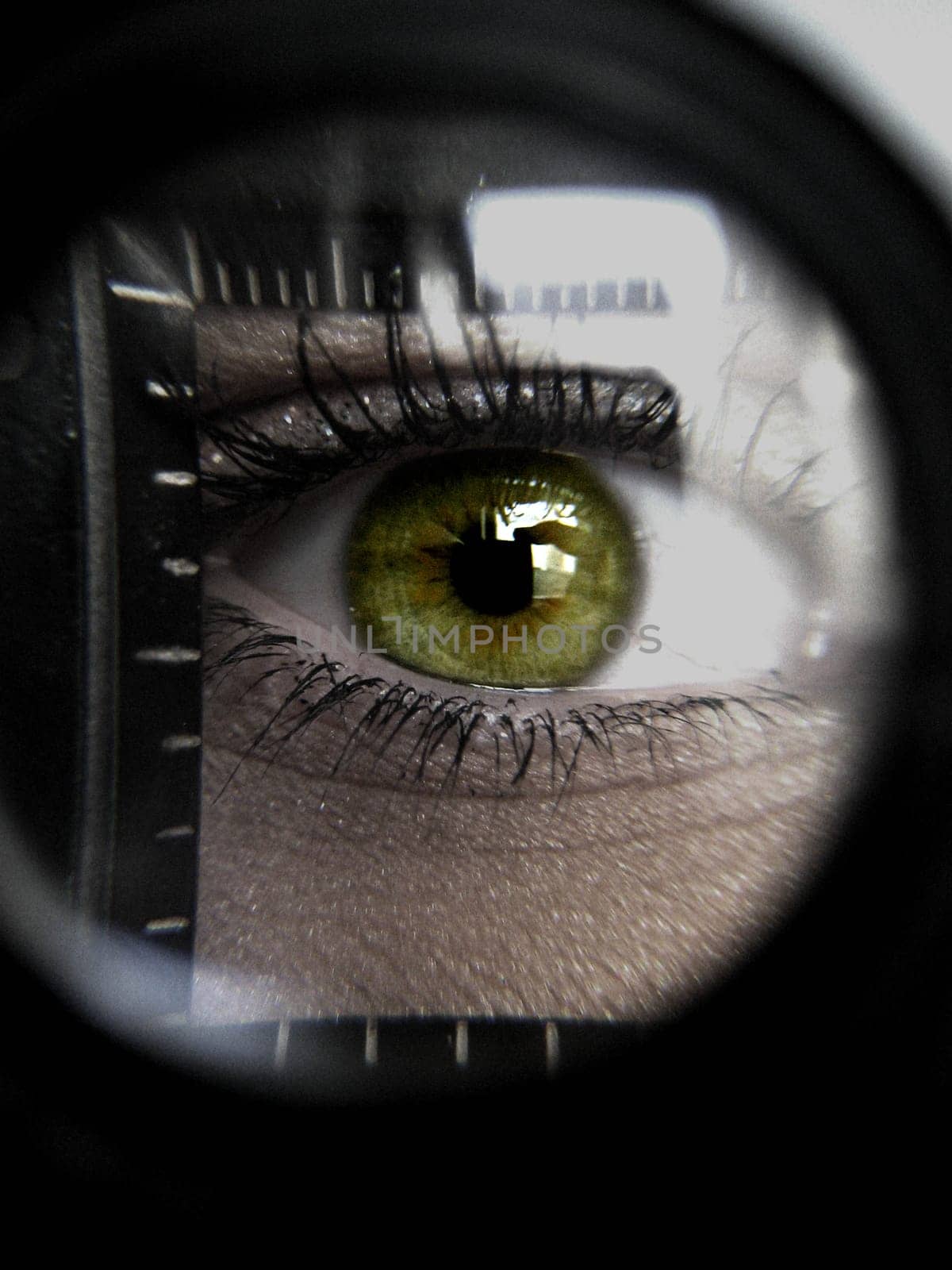 Green Eye