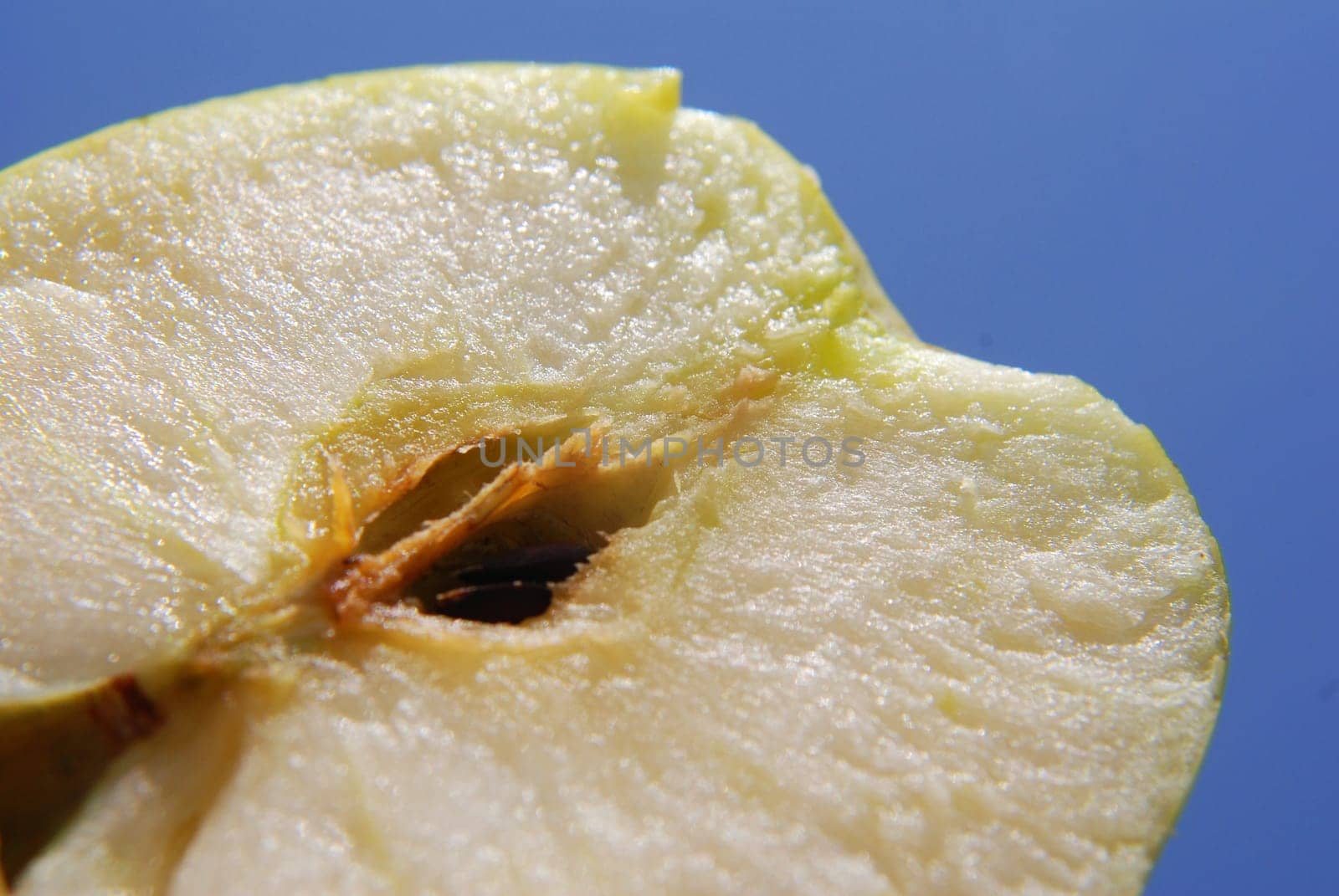 Apples without (New York)