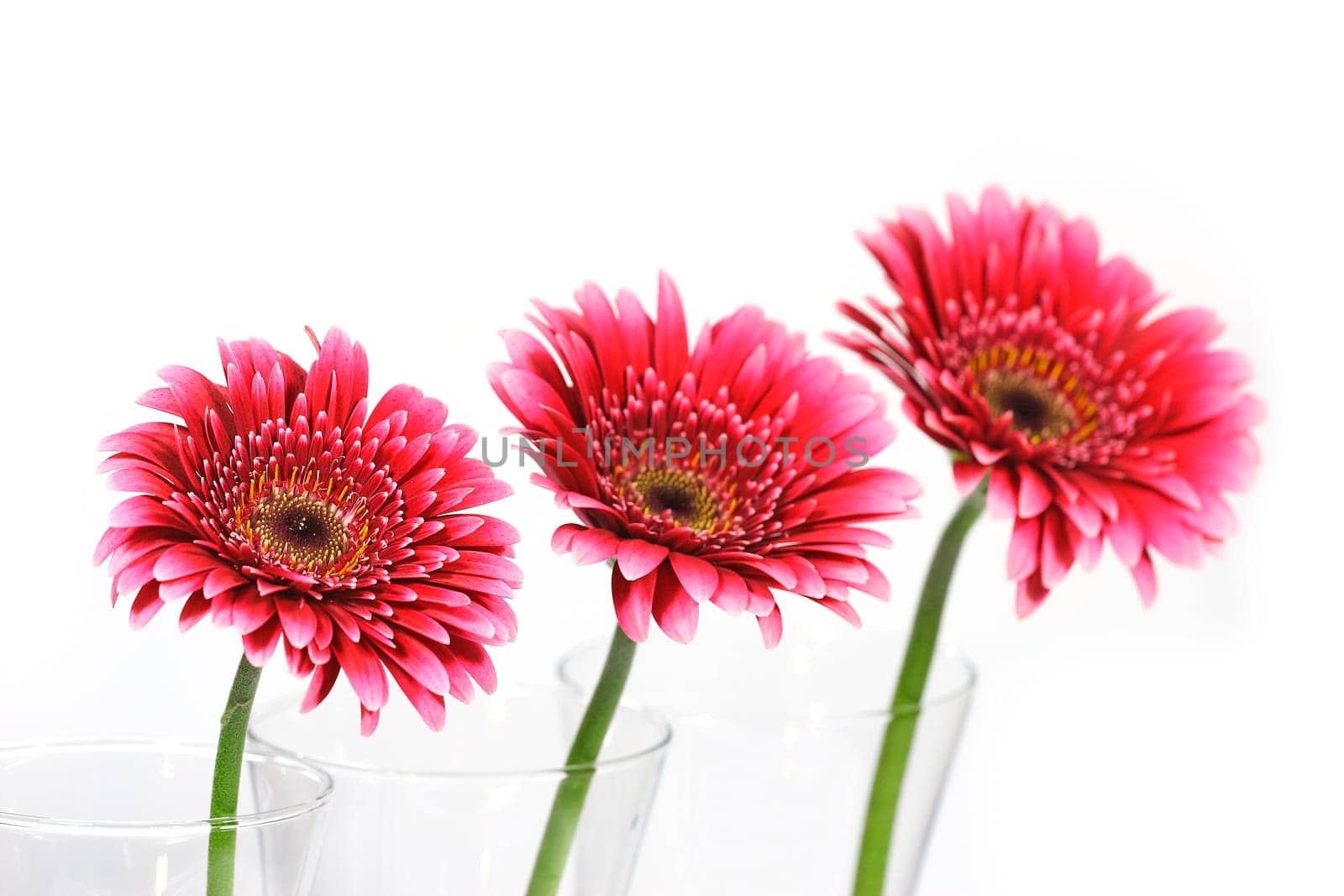 Trio of flowers