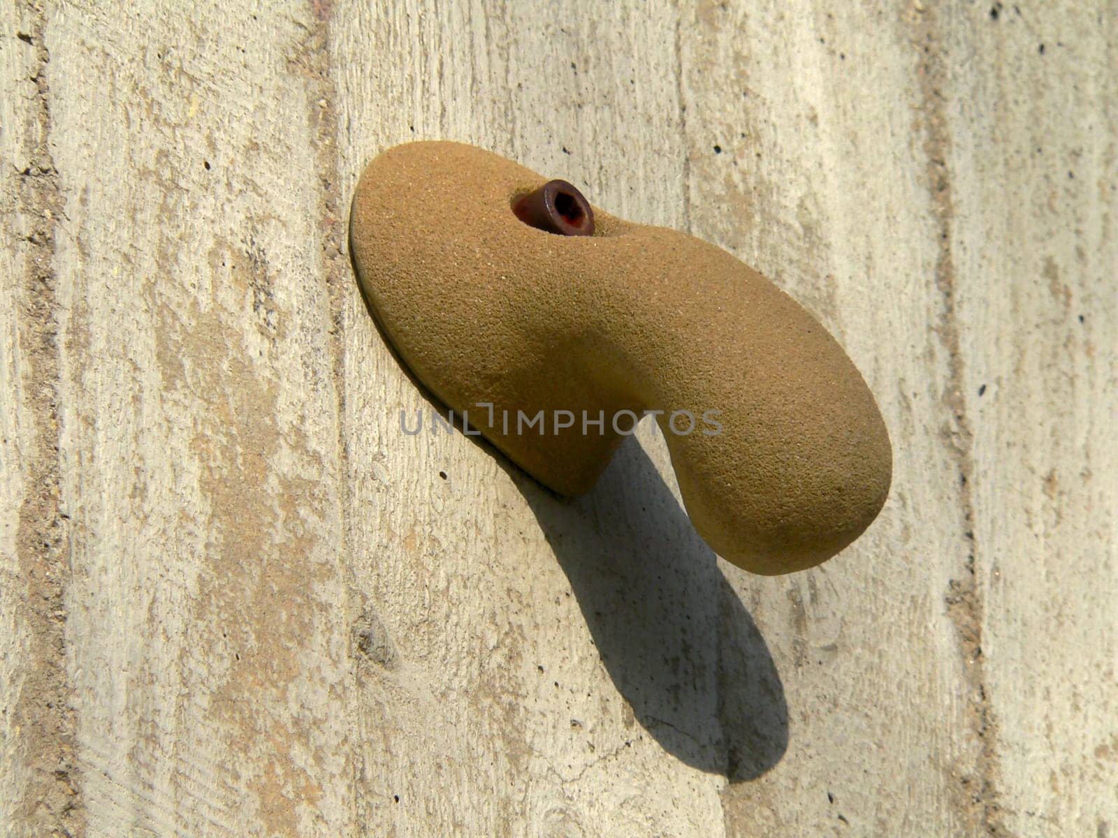 The nose