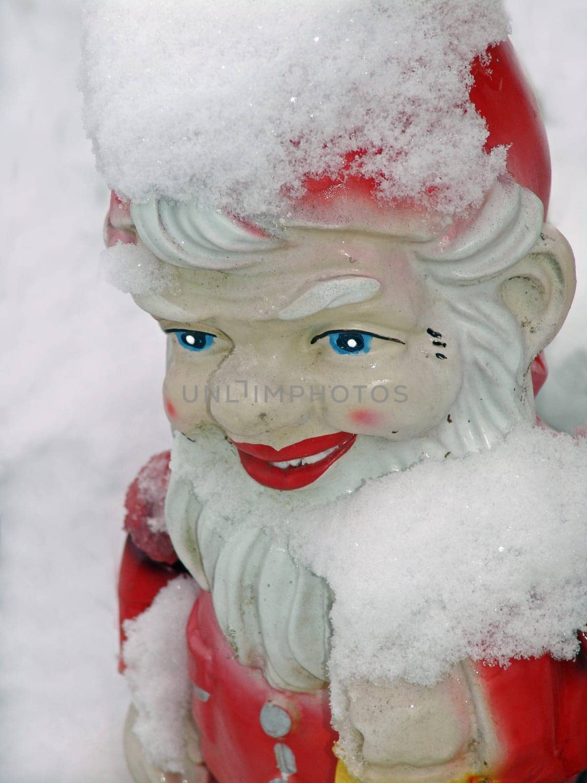 Snow dwarf
