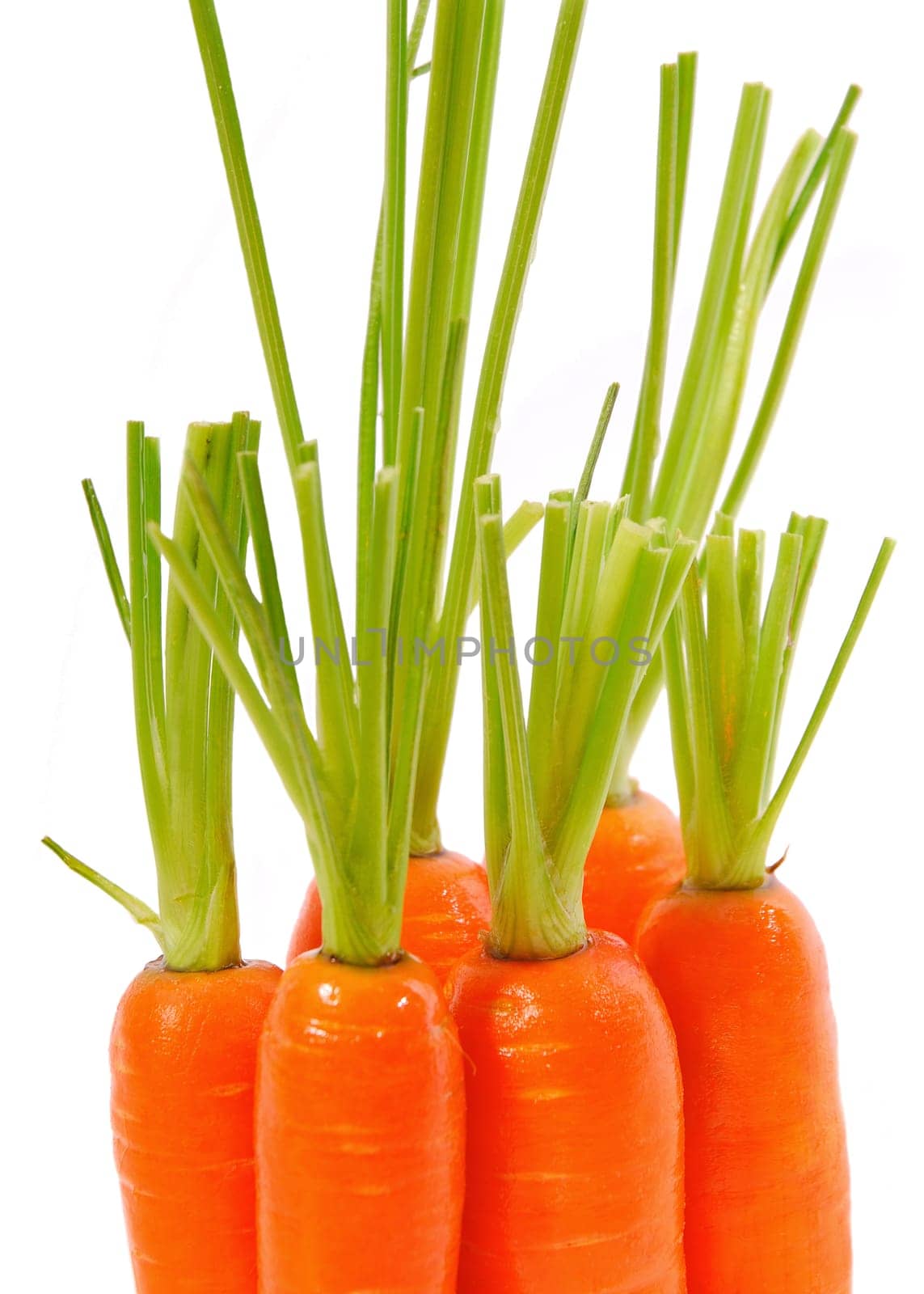 Carrots