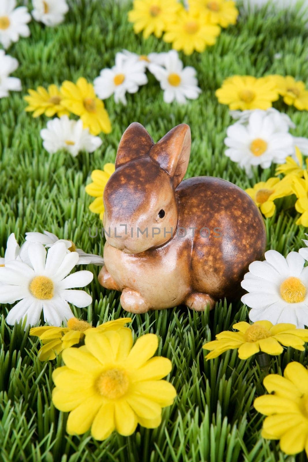 Rabbit on meadow