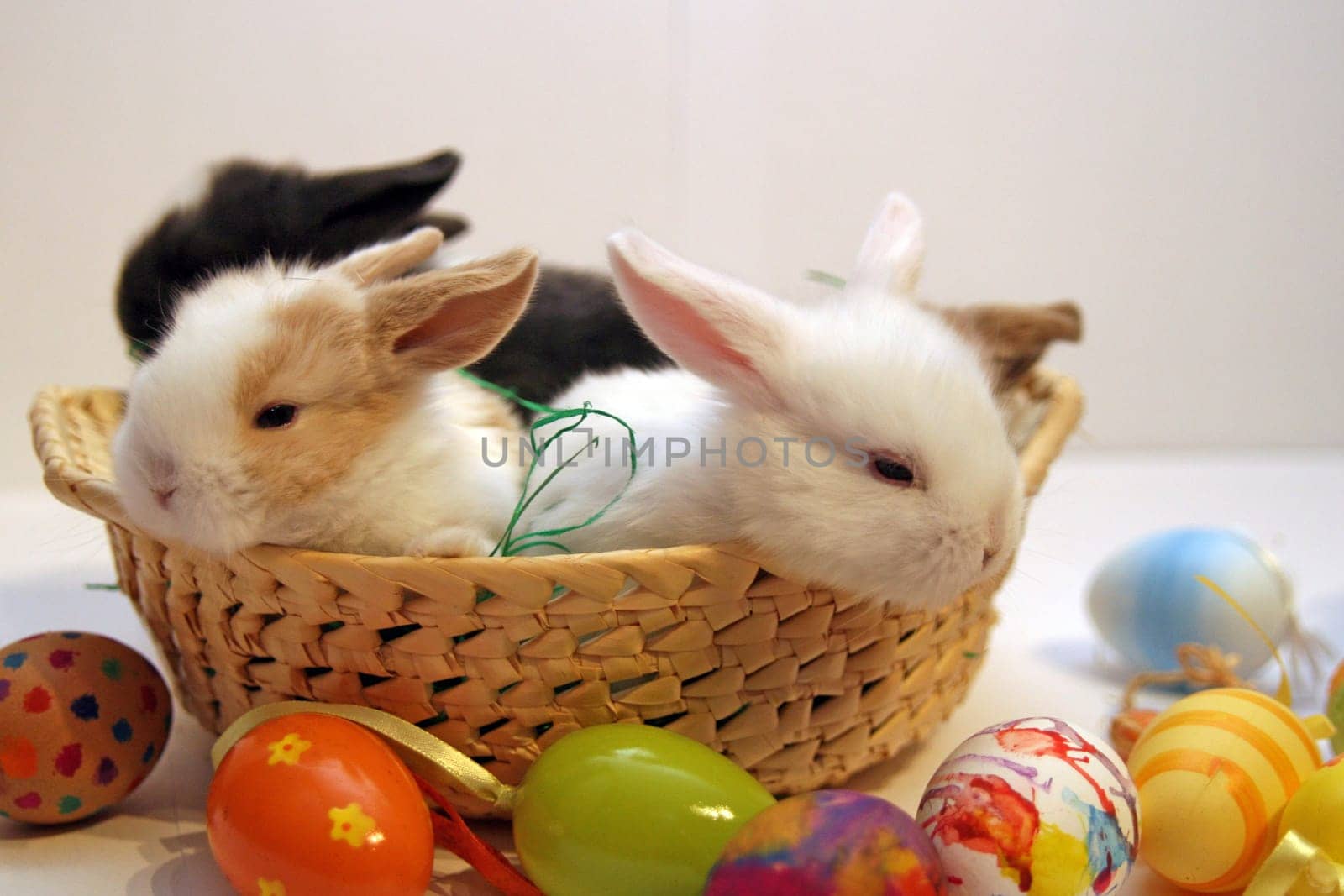 Happy Easter