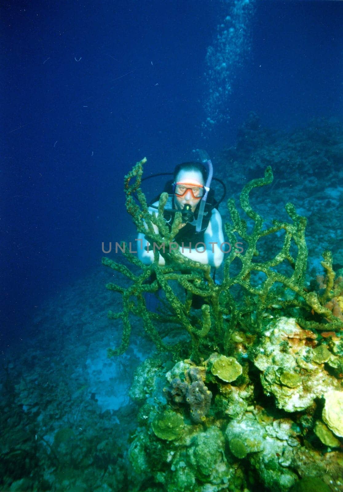 Submerged
