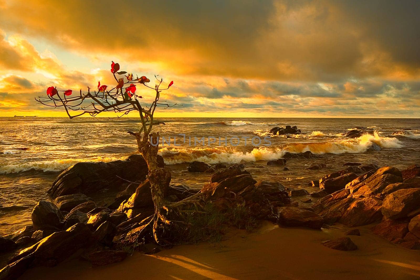 ... what a wonderful light I found that day,it was a fairytale dream,I just snapped and snapped.....
