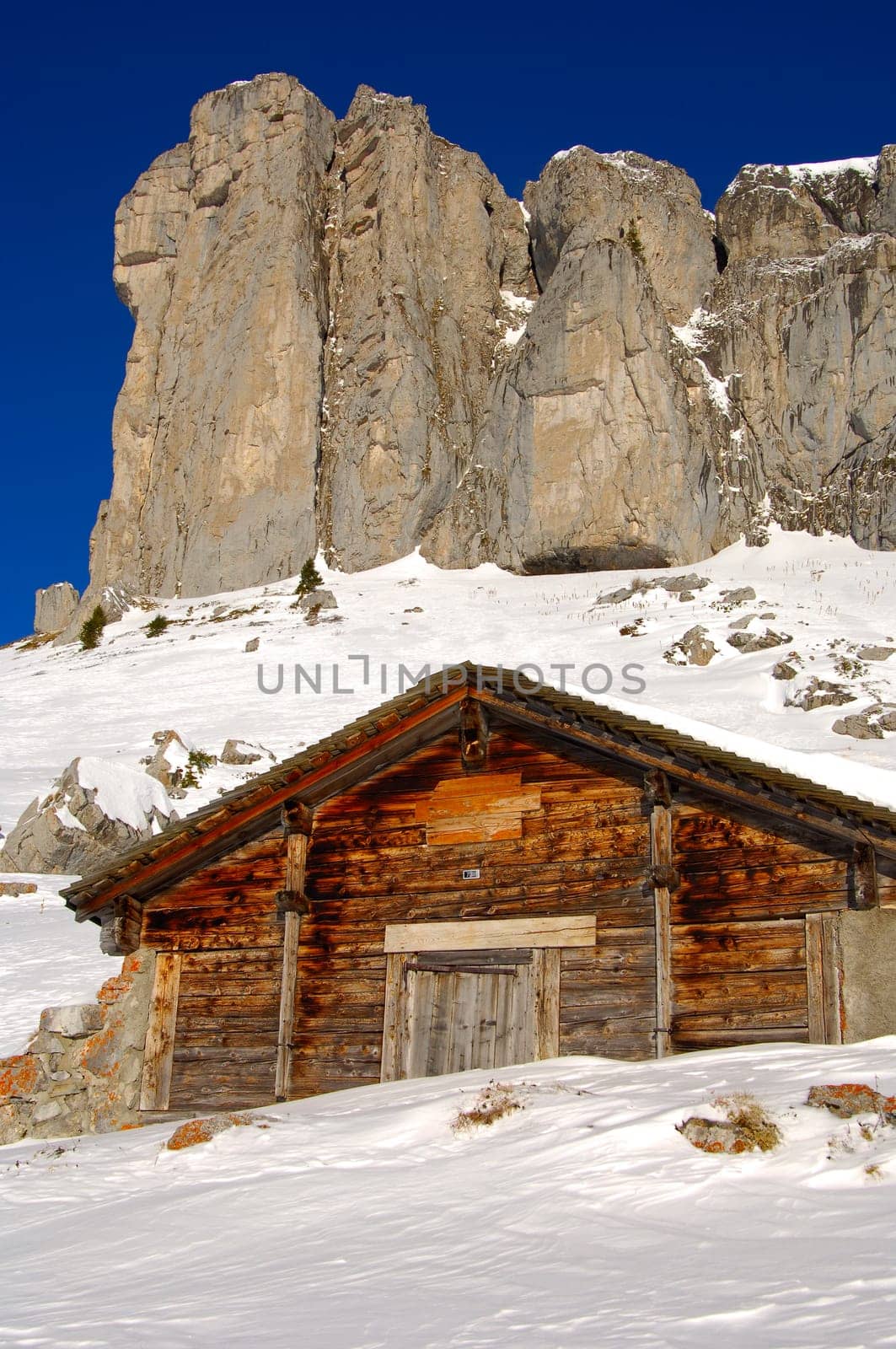 Alpine hut