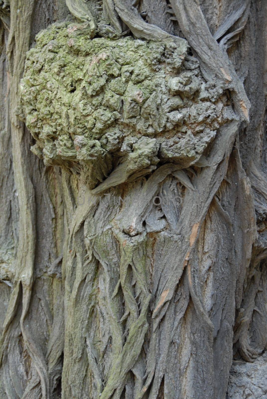 ALt like a tree